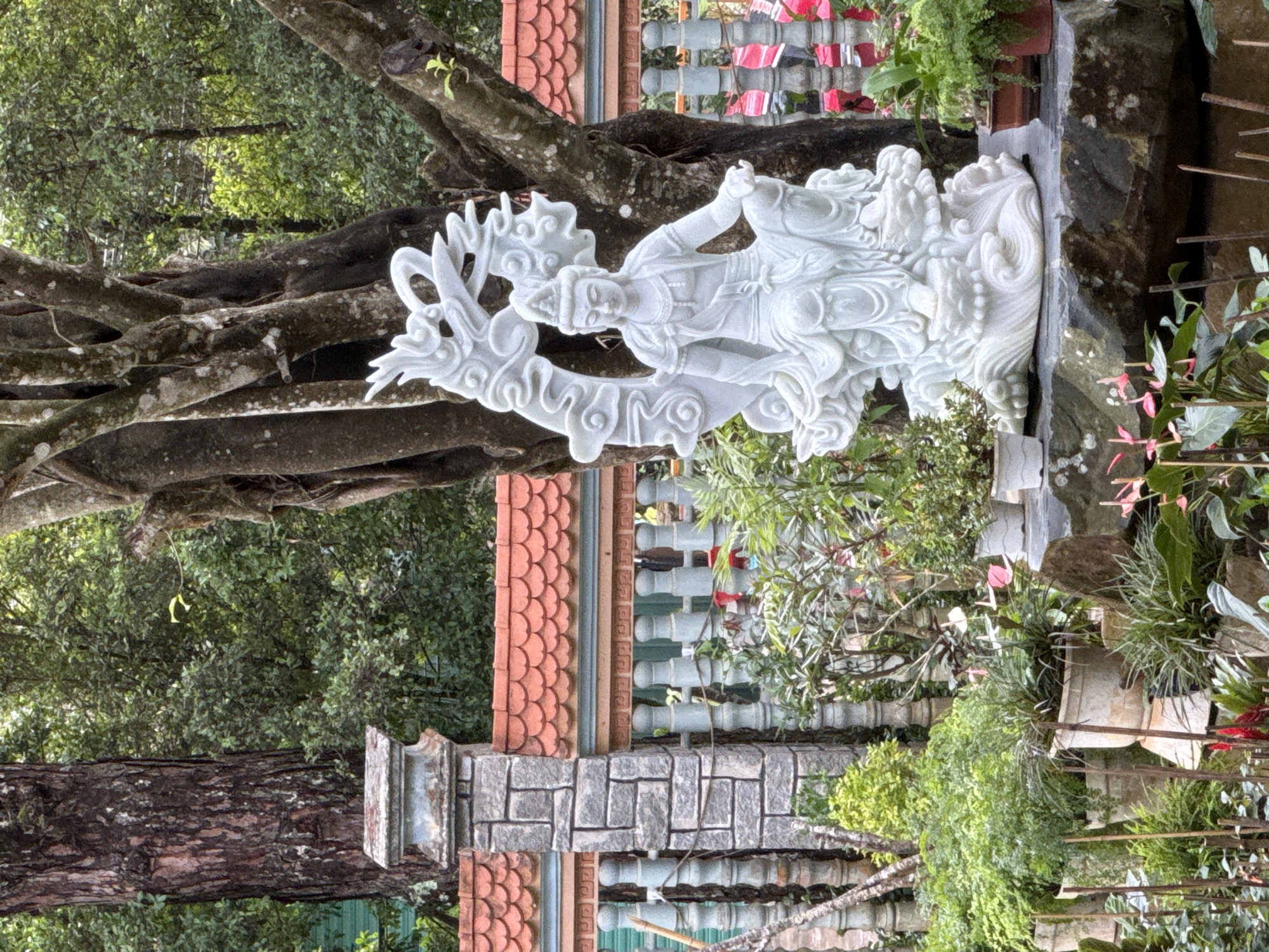 A statue of a person riding a dragon is placed in a natural setting. The statue is light in color, possibly made of marble or a similar stone. It is placed against a backdrop of green foliage and a large tree with thick, exposed roots. The statue sits atop a stone or rock formation. In the background, there is a structure with a red tiled roof and a gray stone or concrete base. The location is Da Lat, Vietnam.