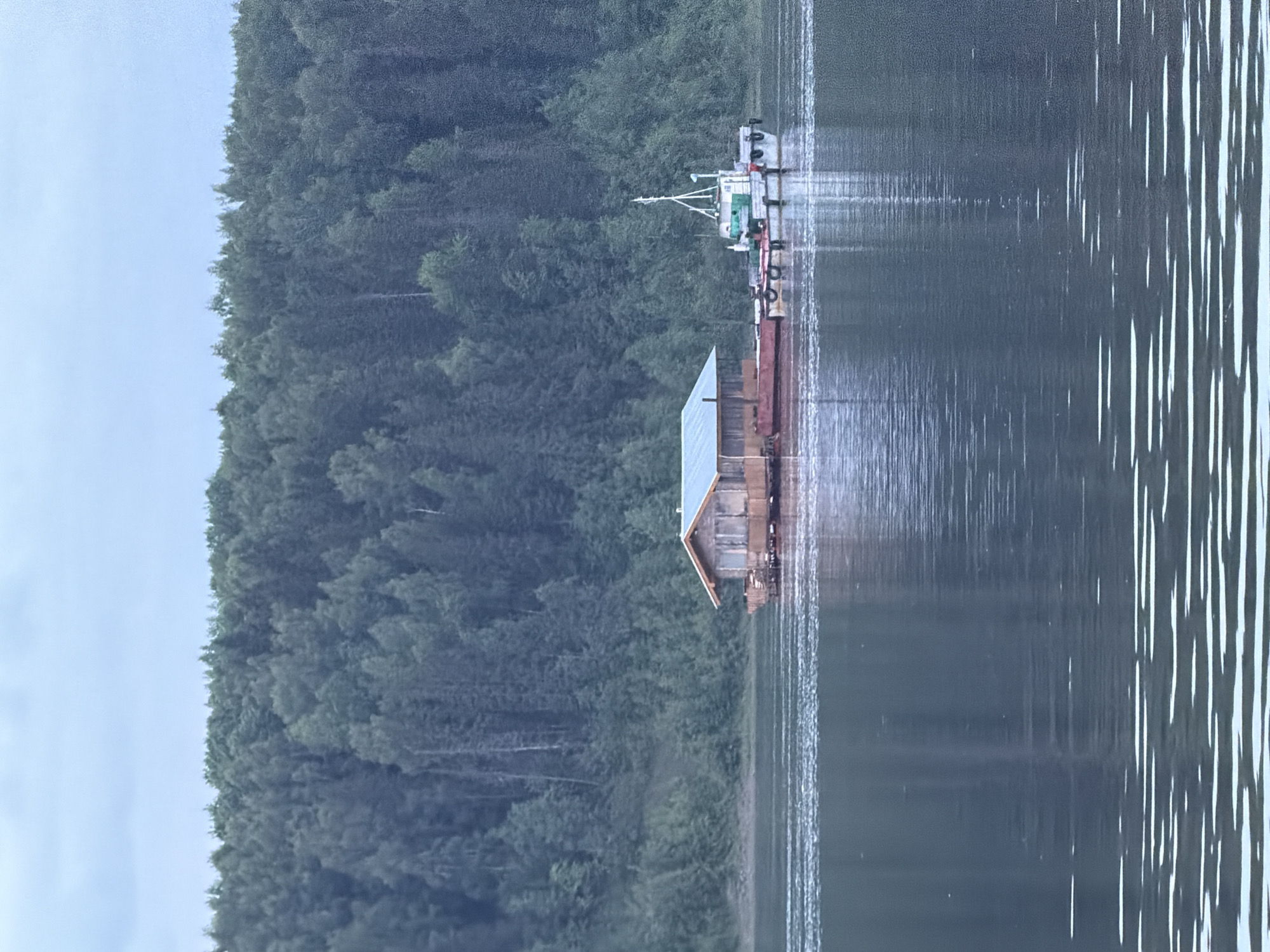 A wooden houseboat with a light blue roof is floating on a wide, calm river. The houseboat is attached to a barge that is red on the side and has a smaller white and green boat docked next to it. The river reflects the overcast sky and the lush green forest that lines the opposite bank. The forest is dense and stretches as far as the eye can see, with a mix of deciduous and coniferous trees. The water is dark and still, with subtle ripples. The overall scene is serene and appears to be in a natural, remote setting. The houseboat and barge are the only man-made objects visible, suggesting a quiet, peaceful existence.