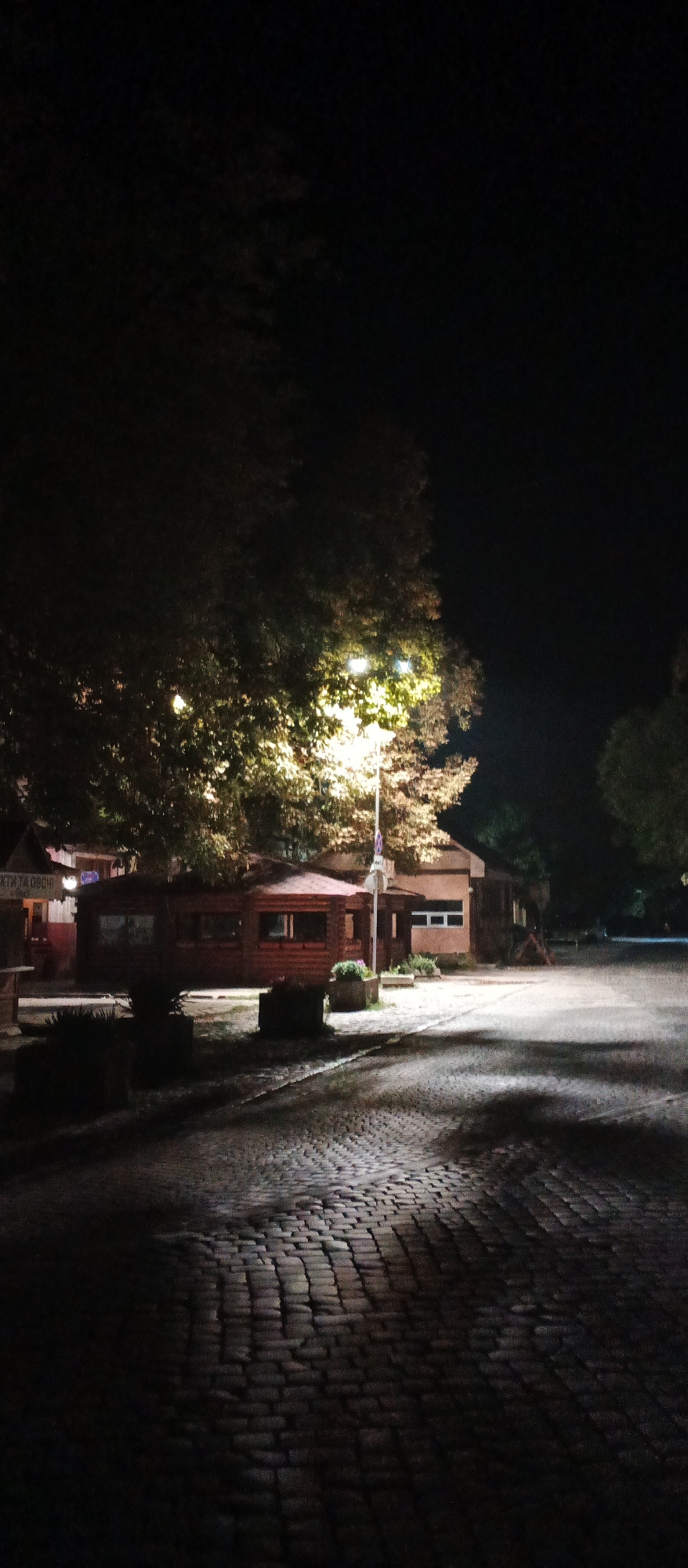 A nighttime photograph depicts a cobblestone street in Berehove, Ukraine, illuminated by a street lamp that casts a warm glow on a cluster of trees and a small, wooden building. The building, with its dark wood exterior and visible windows, appears to be a kiosk or small shop. A lamppost stands to the right of the building, its light diffused by the foliage. The cobblestone pavement is uneven, with shadows stretching across its surface from the surrounding structures and vegetation. The sky is dark, suggesting the late hour. The scene is tranquil and somewhat deserted, with no people or vehicles visible in the frame.