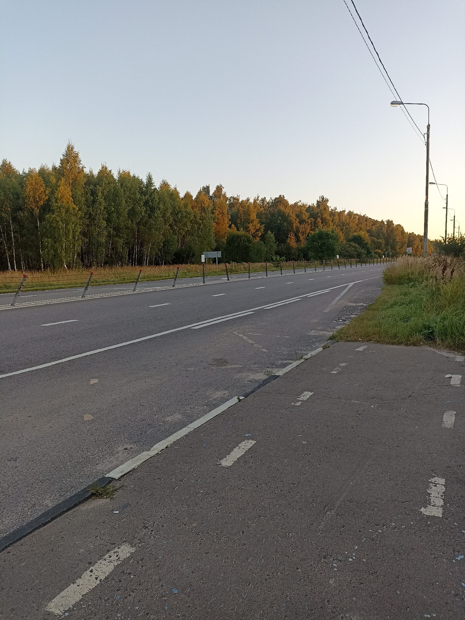 The image depicts a road in Novye Kuz'menki, Russia. The road is paved and has white dashed lines indicating lanes. There are also white dashed lines on a separate paved area to the right of the main road, suggesting a bike path or pedestrian walkway. The road is bordered by a grassy area with tall grass and some trees on the right, and a row of trees on the left. In the background, there is a dense forest with trees displaying autumn colors. Several utility poles with streetlights are visible along the road, as well as power lines. A wire fence with red-topped posts runs parallel to the road on the left side. The sky is clear and light blue, indicating it is daytime, likely late afternoon or early morning due to the warm light. There are no people or vehicles visible in the image.