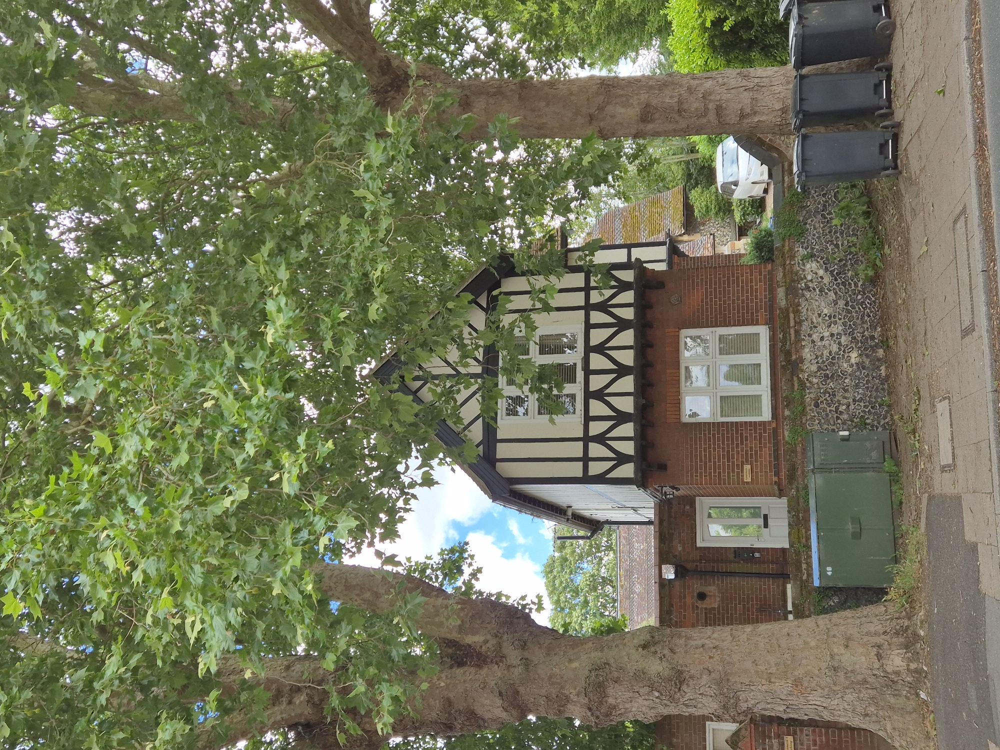 A daytime view captures a residential street scene in West Suffolk, United Kingdom, featuring a distinctive house framed by two large, mature trees. The image is oriented vertically but depicts a landscape scene.
The house, centrally positioned, exhibits a mock Tudor architectural style on its upper floor, characterized by white walls with prominent dark timber framing. The ground floor is constructed from red brick, featuring white-framed windows and a white front door.
Two substantial trees, likely plane trees, with their characteristic mottled bark and lush green lobed leaves, dominate the foreground and background, obscuring parts of the sky and house. Their branches spread widely, indicating significant age.
To the right of the house, a paved footpath runs alongside a road. Four black wheelie bins with silver handles are neatly lined up along the path. A low, textured stone wall separates the house's front area from the footpath. Two large green utility boxes are visible on the ground near the front door, one with a blue label displaying the number "40". Further down the street, a white van is partially visible. The sky above is blue with scattered white clouds, suggesting fair weather. Small plaques on the house and near a tree trunk are present but their text is illegible.