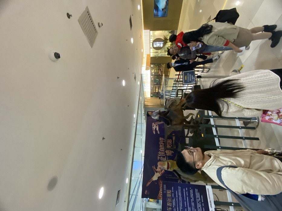 The image captures an indoor scene within a large, brightly lit commercial or exhibition space, likely Zhengjia Plaza (Grandview Mall) in Guangzhou City, China, as suggested by the visible signage. The perspective is tilted, showing a high white ceiling on the left and a busy exhibition area on the right.
In the immediate foreground, a man wearing glasses and a light beige jacket stands, looking towards the right with a neutral, observant expression. Behind him and to his left, a prominent dark blue banner showcases dinosaur imagery and Chinese text. The most discernible text reads "正佳自然科学博" (Zhengjia Natural Science Expo/Museum), indicating a natural science exhibition. Below this, smaller characters include "车厢玩须知" (Riding instructions/rules).
Central to the exhibit are two realistic dinosaur models, resembling raptors. One model appears to have a person, likely a child, sitting on its back, suggesting an interactive ride or photo opportunity. A woman with long, dark hair, wearing a light-colored sweater, stands with her back to the camera, observing these dinosaur models.
Further in the background, several more people are gathered, some appearing to be queuing behind stanchions and ropes. A person wearing a red hoodie is visible among this group. The wider setting reveals a multi-level structure with glass railings, escalators, and illuminated shopfronts, consistent with a modern shopping mall.
The ceiling is adorned with numerous recessed light fixtures, providing ample illumination, along with air vents and two security cameras. The overall atmosphere suggests an engaging and educational event, with visitors actively interacting with the dinosaur-themed natural science exhibit. The scene appears to be taking place during the daytime or during well-lit operational hours, as there are no indications of evening or night.
