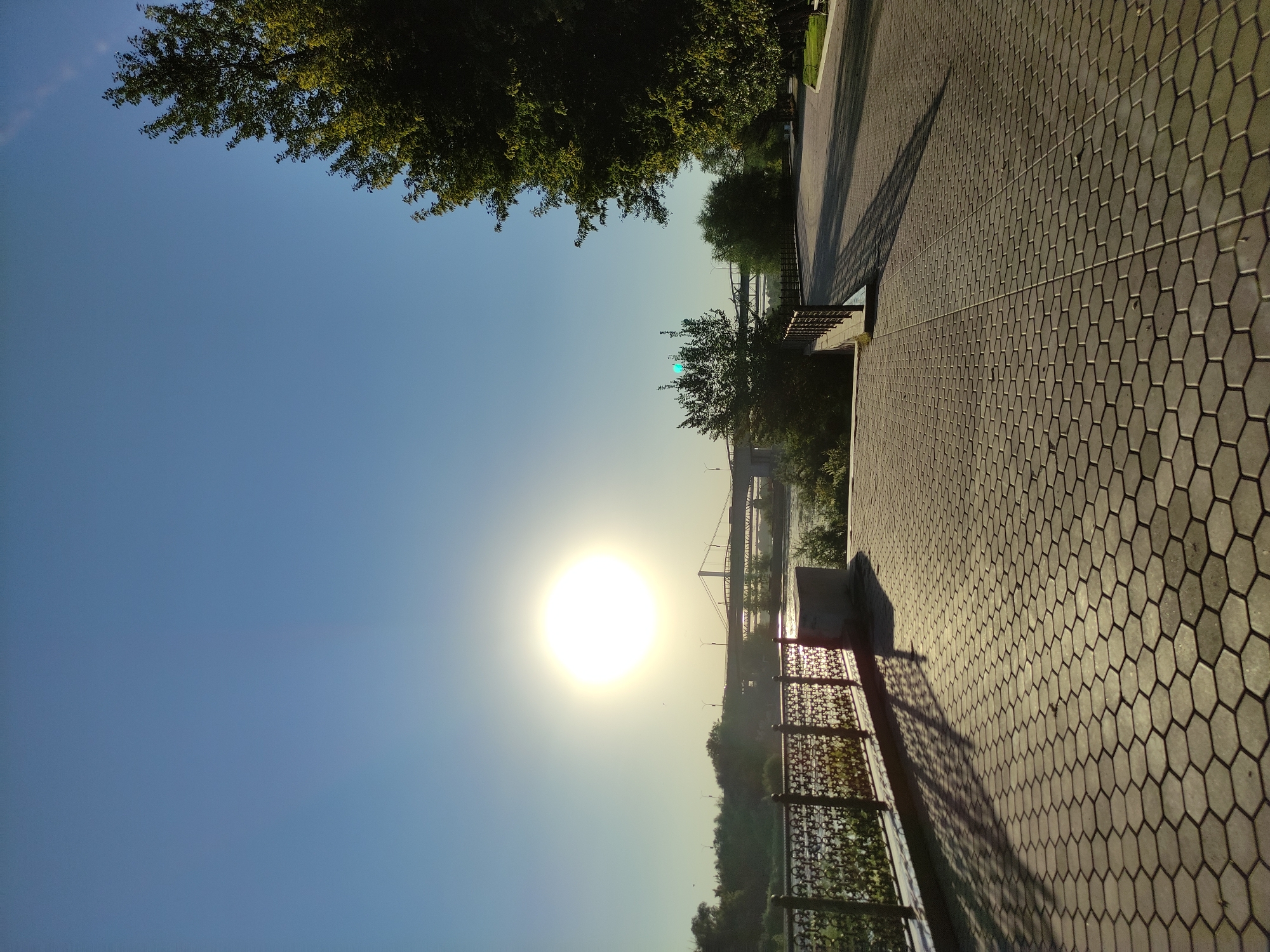 The image depicts a scenic view of the Irtysh River embankment in Semey, Kazakhstan, bathed in the golden light of a setting or rising sun. The foreground features a paved walkway with a hexagonal pattern, bordered by an ornate metal fence and lush greenery. Beyond the fence, the wide expanse of the Irtysh River flows, with bridges spanning across it in the distance, hinting at the urban landscape of Semey. The sky is a clear, pale blue, with the sun a bright, glowing orb near the horizon, casting long shadows across the walkway. Trees, heavy with foliage, line the embankment, adding to the serene and natural beauty of the scene. The overall atmosphere is tranquil and picturesque, capturing a moment of natural splendor within an urban setting.