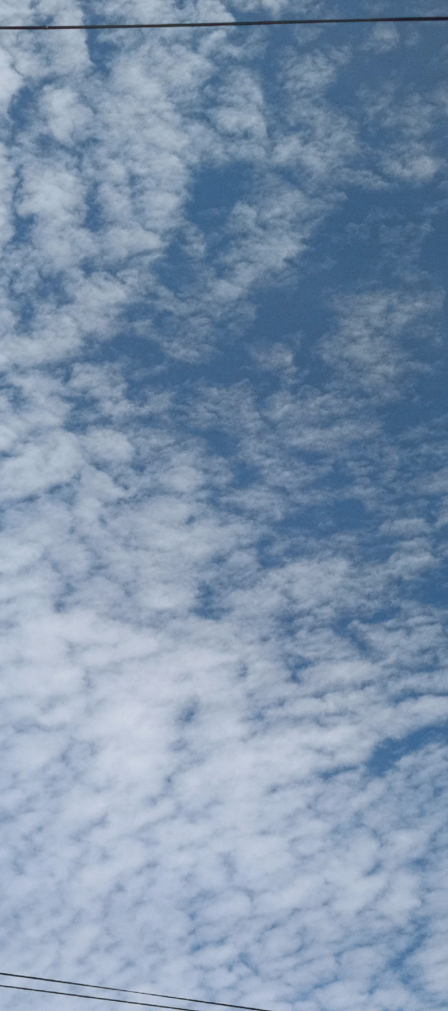 A vertical, low-angle shot captures a bright blue sky filled with scattered, puffy white clouds. Two dark, thin horizontal lines, likely power lines, are visible at the top and bottom edges of the frame. The image is devoid of people or discernible urban features beyond the power lines, suggesting a view focused entirely on the sky. Without any specific landmarks or context within the image itself, it is impossible to determine its location within Pasi Rawa, Indonesia.