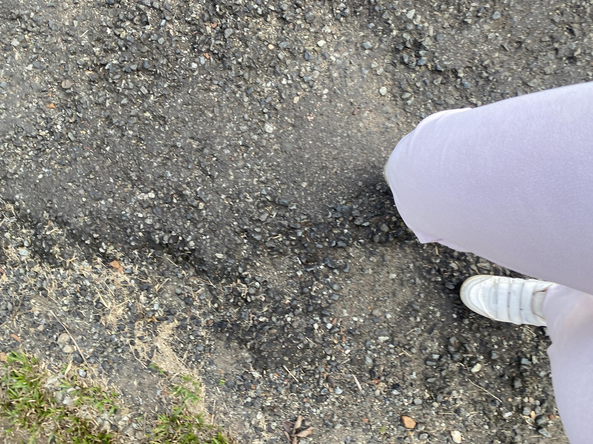 A first-person perspective shot captures a person walking on a gravel path bordering a patch of grass in Banjarbaru, Indonesia. The person is wearing white sneakers and light purple trousers. The gravel path is a mix of dark soil and small grey, white, and reddish-brown stones. The grass on the left side of the frame is green and appears to be recently mowed. The lighting suggests it is daytime, likely late morning or early afternoon, with sunlight casting subtle shadows on the path.