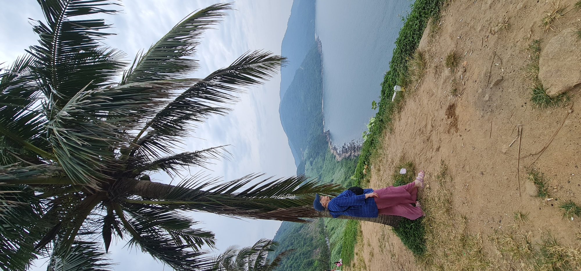 The image, correctly oriented, displays a serene coastal landscape, likely captured in Đà Nẵng, Vietnam. A prominent palm tree, with a sturdy trunk and numerous green fronds, occupies the left side of the frame, reaching towards an overcast sky.
Leaning casually against the palm tree's trunk is a person, appearing to be an adult woman. She is dressed in a blue and white checkered long-sleeved shirt, long maroon pants, and light pink sandals. A dark blue cap adorns her head, and a black fanny pack is worn around her waist. She gazes upwards, seemingly observing the palm fronds or the sky above.
The setting is an elevated dirt or sandy path, dotted with patches of green and dry grass, suggesting a cliffside or high vantage point. This path overlooks a expansive, calm blue-grey ocean that merges with a distant, hazy coastline featuring verdant hills and mountains. A rocky stretch of shoreline or a breakwater is visible further along the coast.
The weather appears cloudy, with diffused light indicating a daytime setting without direct sunlight. Several pieces of litter, including a white plastic bottle and a small pink cup, are visible on the ground near the cliff edge. The scene conveys a tranquil, reflective moment amidst a picturesque natural environment. There is no visible text in the image.