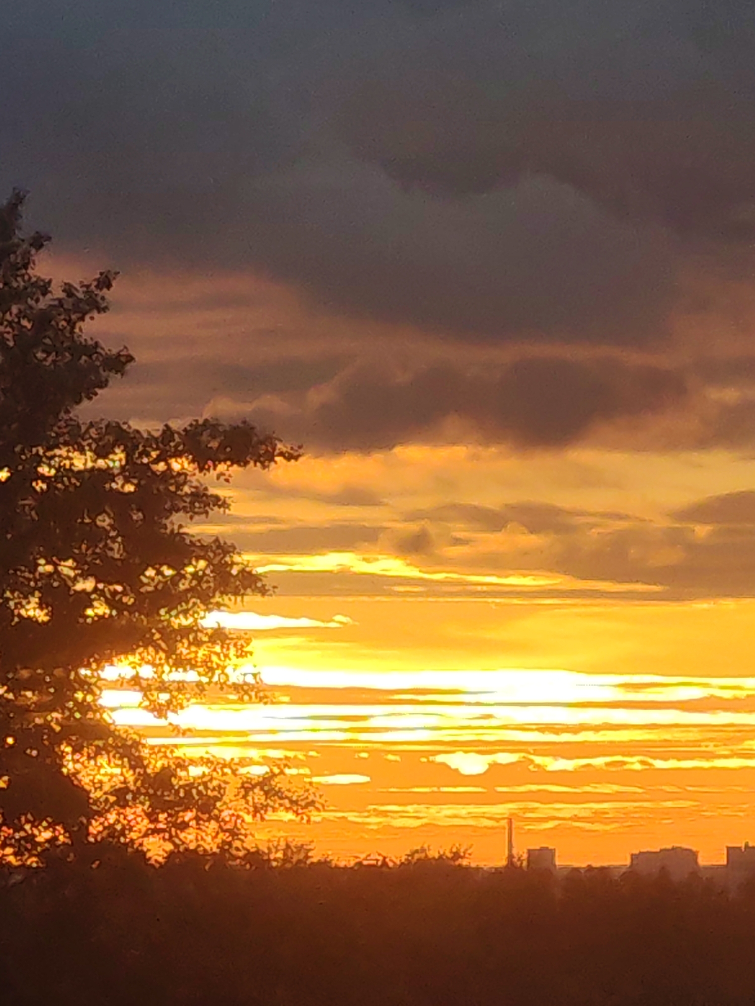 The image depicts a sunset in Podolsk, Russia. The sky is filled with horizontal layers of clouds, ranging from dark gray at the top to bright orange and yellow closer to the horizon. A silhouette of a tree branch is visible on the left side of the frame. In the distance, the faint outline of buildings and a tall chimney suggest an urban setting. The light from the setting sun shines through the tree, creating a bright glow.