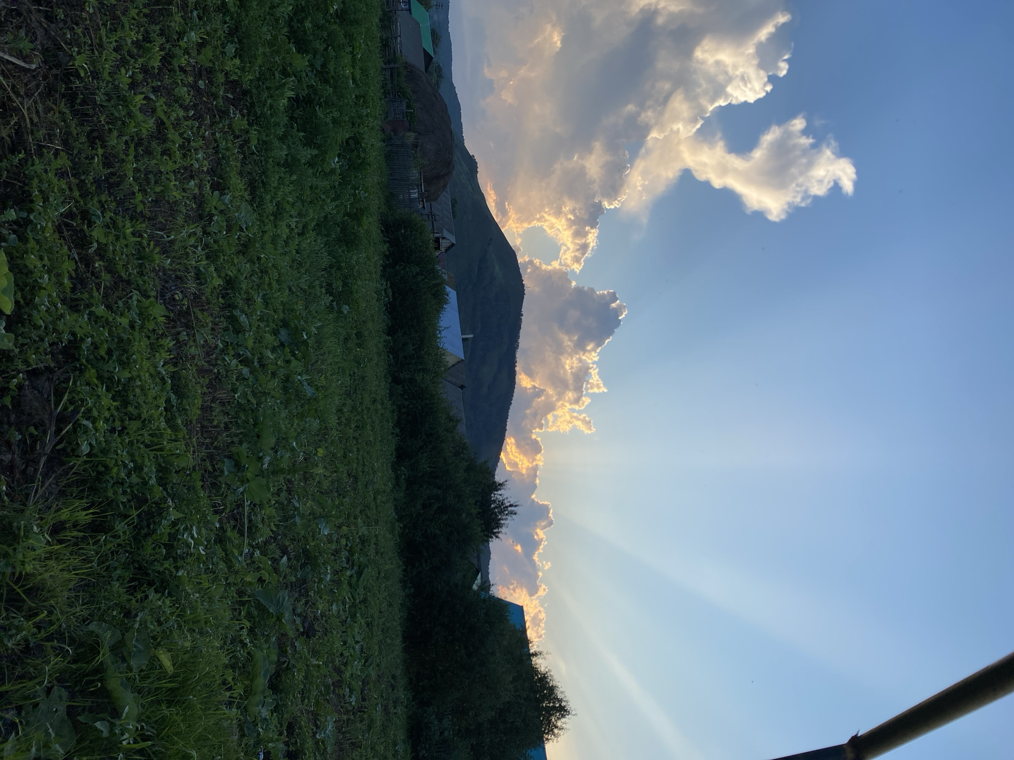The image depicts a rural scene at sunset in Maloarslangulovo, Russia. In the foreground, a lush green field of crops stretches across the frame. Behind the field, a collection of houses and buildings are visible, nestled amongst trees. A prominent hay bale sits near a wooden fence. The background is dominated by a rolling green hill. Above the hill, dramatic clouds are illuminated by the setting sun, casting rays of light across the sky. A dark, angled pole is visible in the upper right corner of the image.