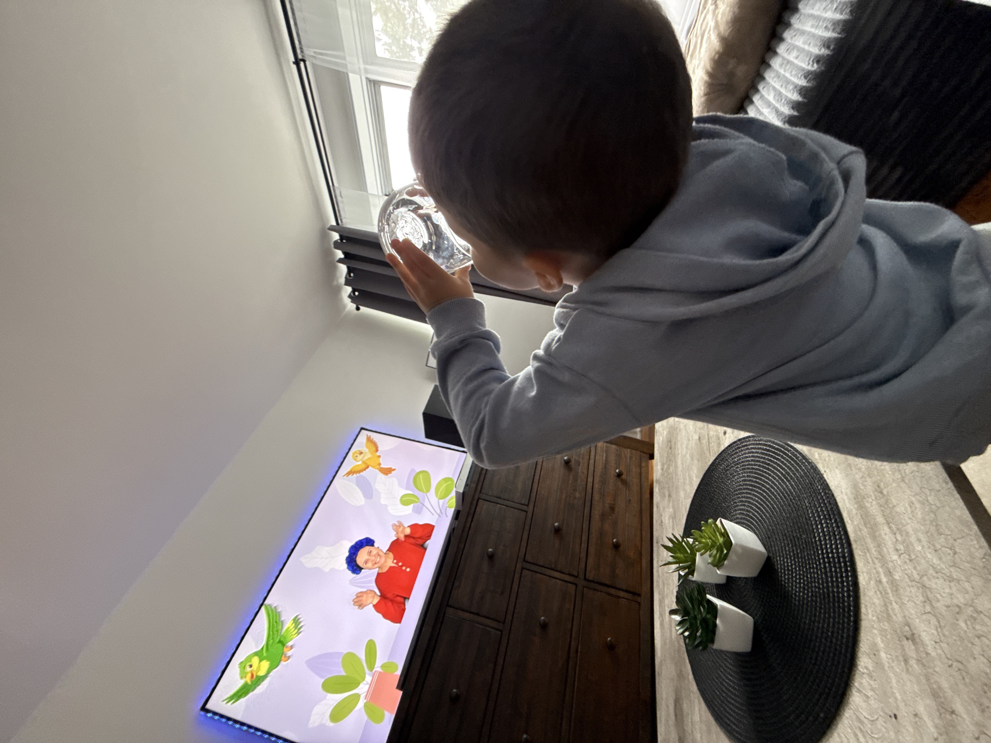 This media file captures a child, seen from behind and from the side, holding a glass of water and looking towards a television screen. The child is wearing a light blue hooded sweatshirt. The television is displaying animated content featuring a person in a red top and blue hat, with green birds and stylized plants. The scene appears to be indoors, possibly in a living room or play area.
To the left of the television, a dark wooden cabinet with multiple drawers is visible. In the foreground, on a wooden surface, a black circular placemat holds two small potted succulents. Behind the child, a window with blinds is partially visible, suggesting it might be daytime. The overall impression is a casual, domestic setting. The child's posture and focus on the screen suggest engagement with the content. There is no visible text within the frame. The location is specified as New York, United States of America.