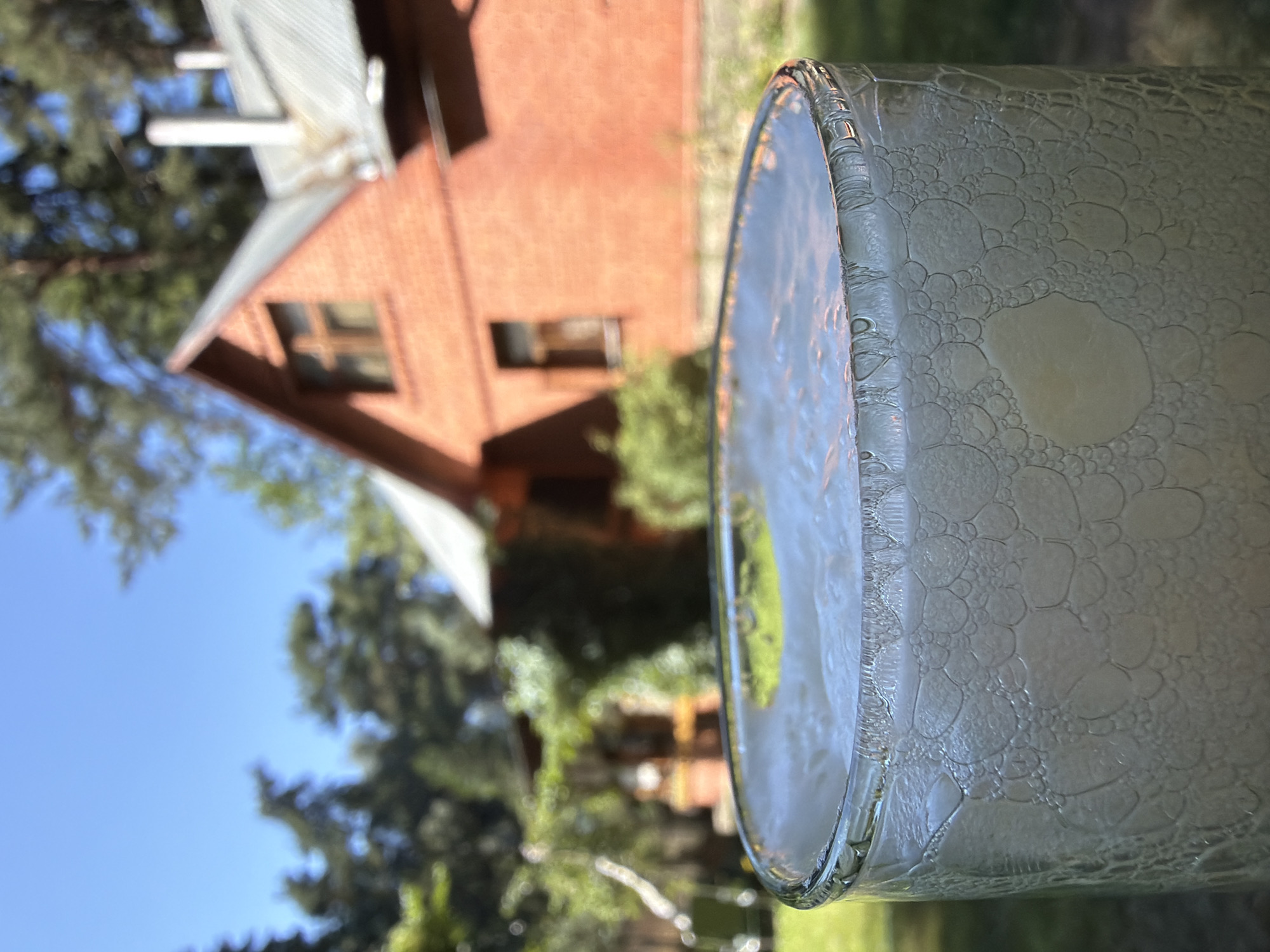 An outdoor shot shows a glass of beer in the foreground, with a red brick house and trees in the background. The glass is clear and filled with a light-colored beverage, topped with a frothy head. Bubbles cling to the inside of the glass. The house, partially visible, is two-story with a peaked roof and a chimney. The setting appears to be a residential area, likely in Udelnaya, Russia, given the architectural style and surrounding greenery. The day is bright and sunny.