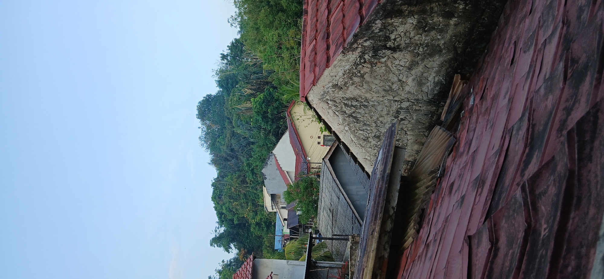 The image depicts a cluster of houses with red tile roofs, some appearing weathered, nestled against a lush, densely forested hillside. The foreground is dominated by the sloped surfaces of several rooftops, with visible corrugated metal and reddish tiles. Behind the immediate rooftops, a variety of houses with different colored roofs and building materials can be seen. The background consists of a vibrant green, hilly terrain covered in abundant vegetation, characteristic of the tropical environment. The sky above is a pale, clear blue, suggesting it is either early morning or late afternoon. The scene appears to be a residential area in Samarinda, Indonesia, likely situated on the outskirts of the city where urban development meets natural landscapes. There are no people or animals visible in the image.