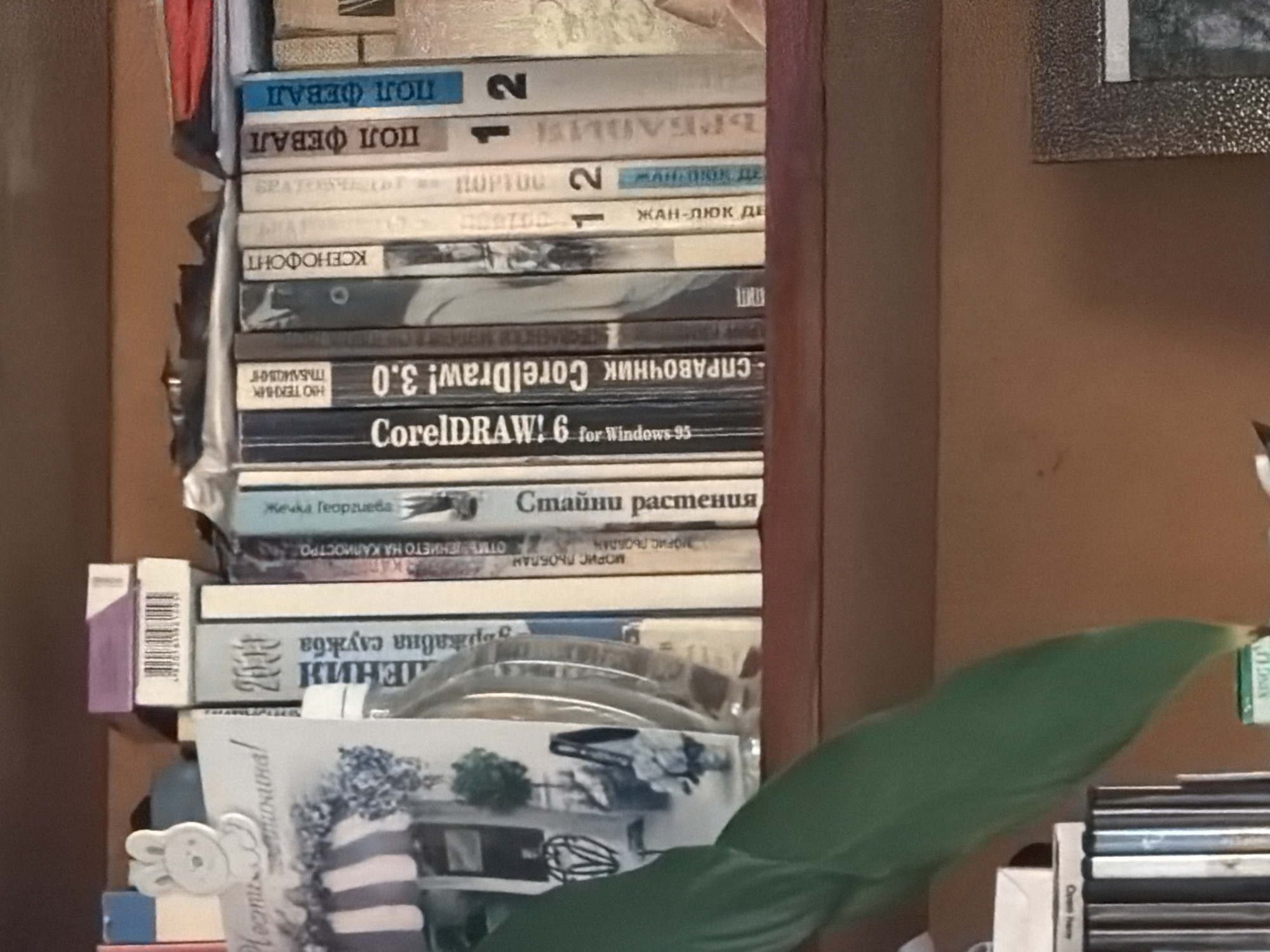 The image shows a stack of books on a shelf, likely in a home setting. The books are primarily in Bulgarian, with titles visible such as "Пол ФЕВАЛ", "КСЕНОФОНТ", "СПРАВОЧНИК CorelDraw! 3.0", "CorelDRAW! 6 for Windows 95", "Стайни растения", "ОТМЪЩЕНИЕТО НА КАЛИОСТРО" and "държавна служба". Other visible objects include a greeting card with a bunny design, some CDs, and a green leaf which is partially obstructing the view. The shelf is likely part of a larger bookcase or storage unit. There is nothing in the image to indicate that it is in Velingrad, Bulgaria.