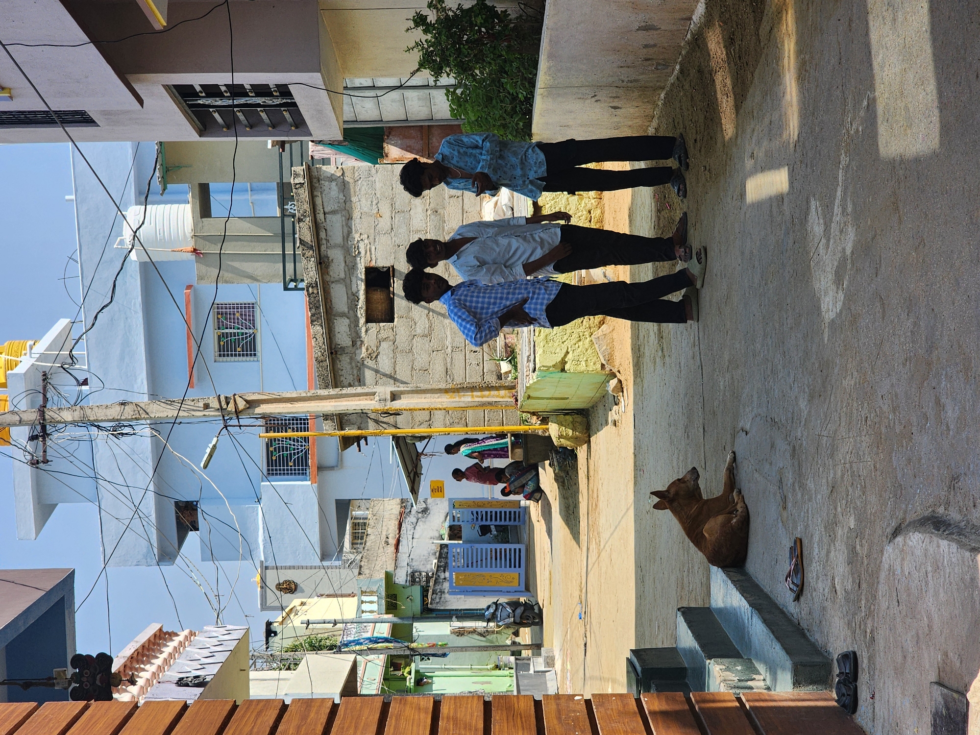 The image depicts a sunlit residential street or alleyway in Pedda Kammavaripalli, India. In the immediate foreground, a light brown dog lies on a concrete surface to the left, near concrete steps and two pairs of sandals. To the right, three young men stand and interact; the man on the right is observing a smartphone. They wear collared shirts (blue and white plaid, light-colored long-sleeved, and light blue patterned, respectively) and dark pants. The street, a mix of concrete and compacted dirt, extends into the background, flanked by various multi-story residential buildings in shades of light blue, cream, and green, featuring windows with grills, balconies, and flat roofs. A prominent utility pole with numerous tangled overhead electrical and communication wires, along with an attached street light, stands centrally. Further down the street, near a light blue metal gate, four additional individuals (two women in traditional attire, one seated, and two men) are visible. A black scooter is parked adjacent to the gate. Yellow water tanks are visible on distant rooftops. The sky is clear and blue, and strong sunlight casts distinct shadows across the scene.
