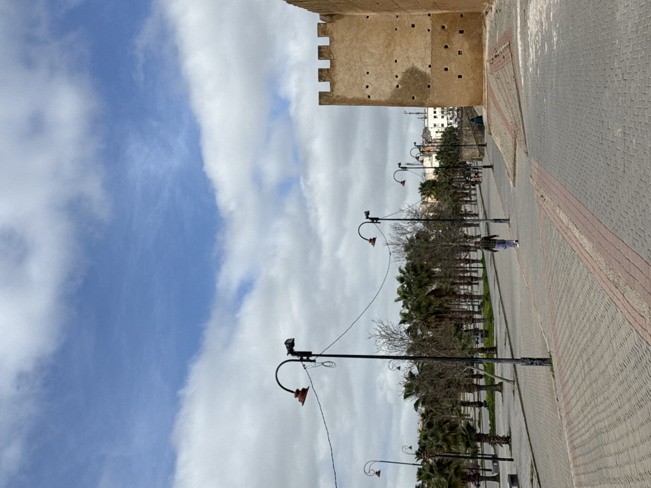The image depicts a wide, paved thoroughfare in Mechouar Fes Jdid, Morocco, under a partially cloudy sky with visible blue patches. In the foreground, a dark-haired male subject, dressed in a plaid shirt and light-colored trousers, walks away from the viewer on a patterned gray paver sidewalk with reddish-brown paver borders. To the right, a tall, tan-colored fortified wall with crenellated battlements and rectangular indentations dominates the frame. An inclined, paved ramp section with reddish-brown paver strips abuts the wall.
Parallel to the paved path on the left, numerous streetlights with curved black metal poles, each featuring a downward-facing red-orange bell-shaped fixture and an outward-facing floodlight, line the route. Bare deciduous trees and mature palm trees with green fronds are visible beyond the streetlights, bordering a grassy area or park. In the mid-ground distance on the left, a small group of indistinct figures is visible near the trees. Near the base of the wall's ramp on the right, an individual is seated or resting, partially obscured. Buildings are visible in the far distance under the skyline. Electrical wires are strung between several of the streetlight poles.