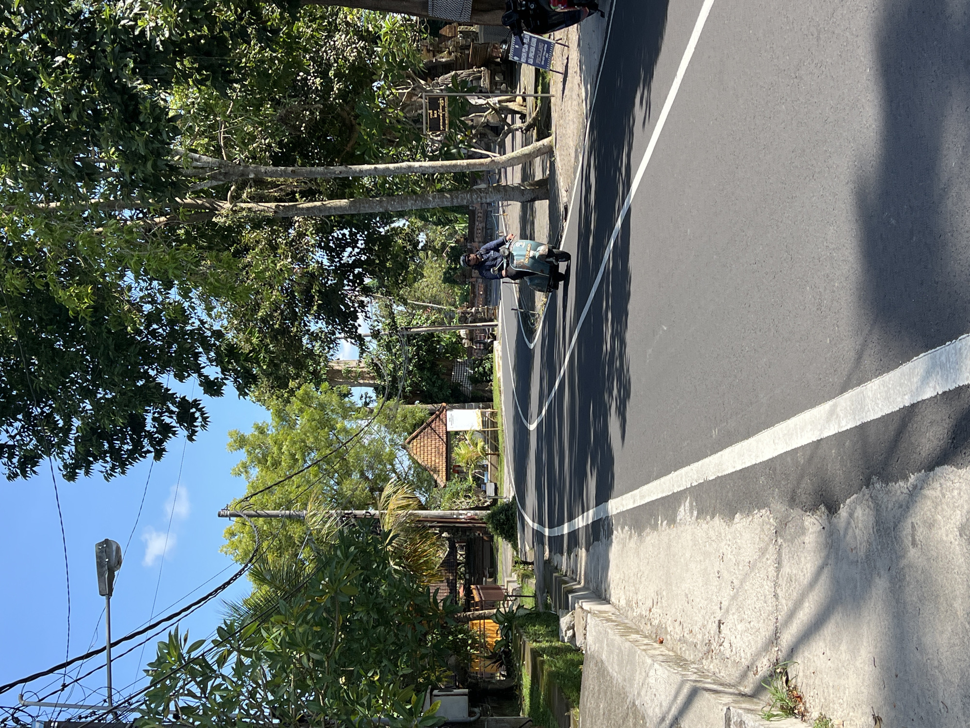 A sunlit road scene in Petulu, Indonesia shows a man on a scooter driving to the right with the scooter positioned on the white line. Lush greenery lines the road on both sides with power lines visible in the lower left. Buildings with distinctive Balinese architecture are seen amongst the trees.