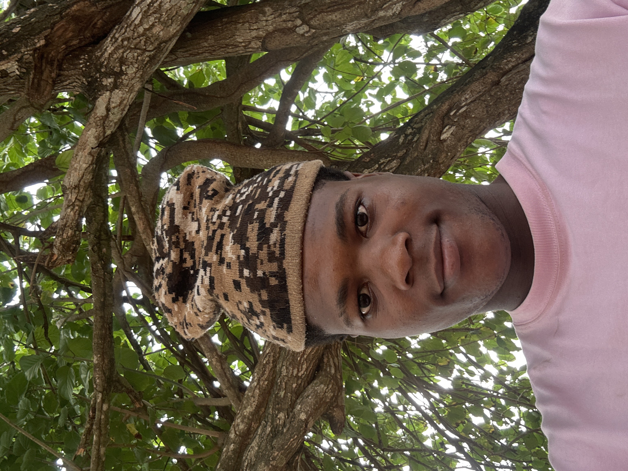In Ihiagwa, Nigeria, a close-up, eye-level, selfie-style photograph captures a young Black individual from the chest up. They are wearing a tan and brown pixelated knit hat and a light pink crewneck sweatshirt. The person is looking directly at the camera, with a neutral expression. Behind them, a large tree with thick, textured branches and abundant green leaves fills the background. The leaves are illuminated by the sun, creating a dappled effect.