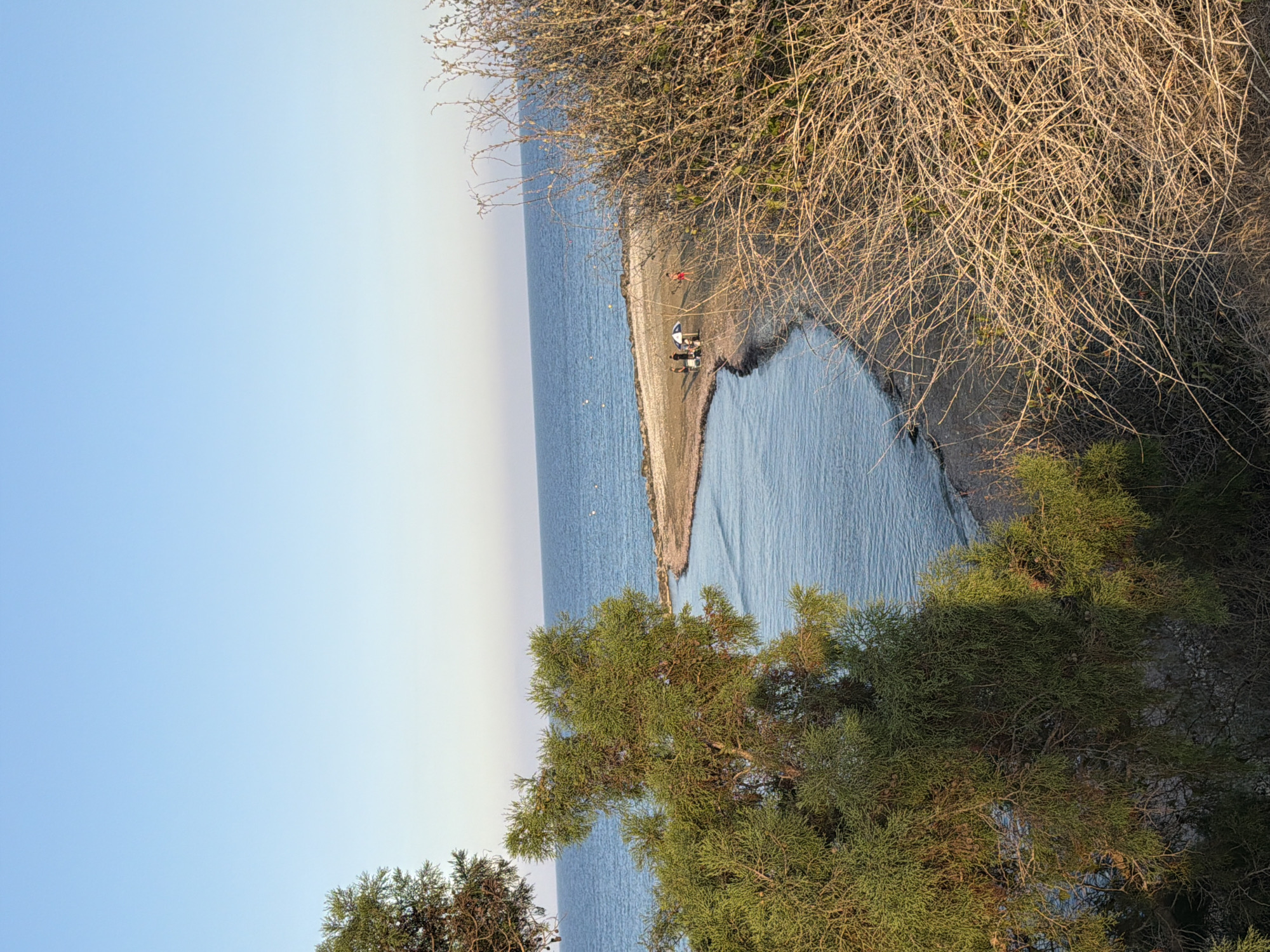 A serene daytime scene at Meneou, Cyprus, features a calm blue sea meeting a sandy coastline. In the foreground, lush green foliage from a cypress tree partially obscures the view of the water. To the right, dry, tangled branches of a shrub create a stark contrast to the vibrant green of the tree. In the mid-ground, a small group of people are gathered on a sandy spit of land. One individual is seen wearing red. There is a blue and white umbrella set up, suggesting a picnic or a moment of relaxation. The water gently laps the shore, and the sky above is a clear, soft blue, indicating pleasant weather.