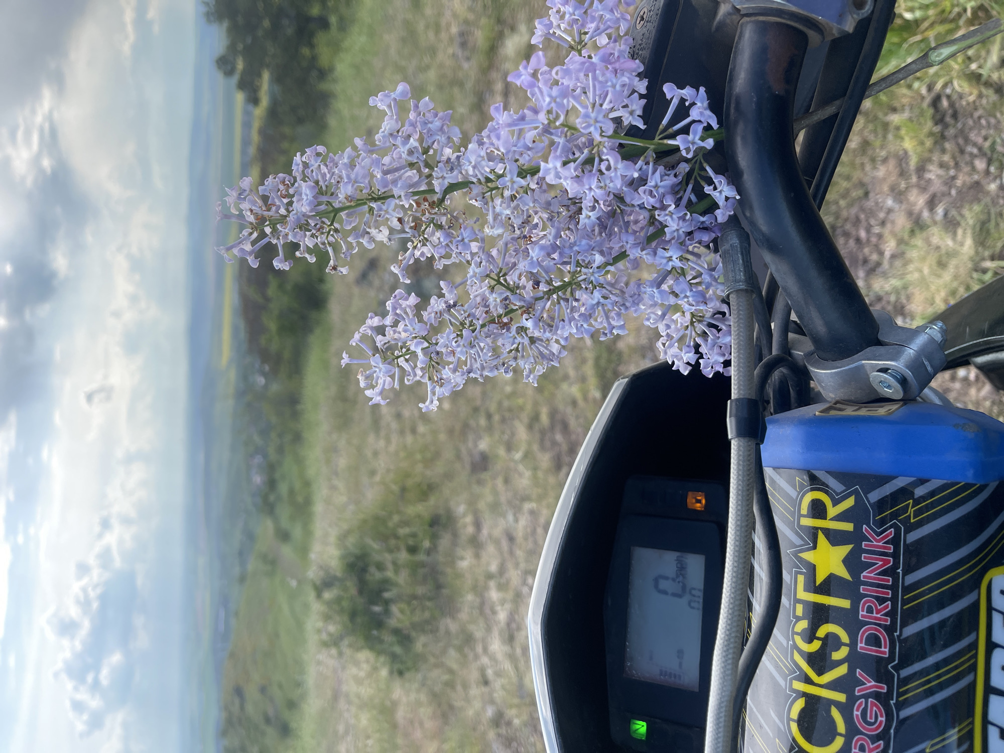 A close-up shot shows a motorcycle parked in a field of dry grass, adorned with a bouquet of light purple flowers on the handlebars. A Rockstar energy drink can is visible, attached near the motorcycle's dashboard which shows the motorcycle is not moving. The background presents a blurred landscape under a cloudy sky.