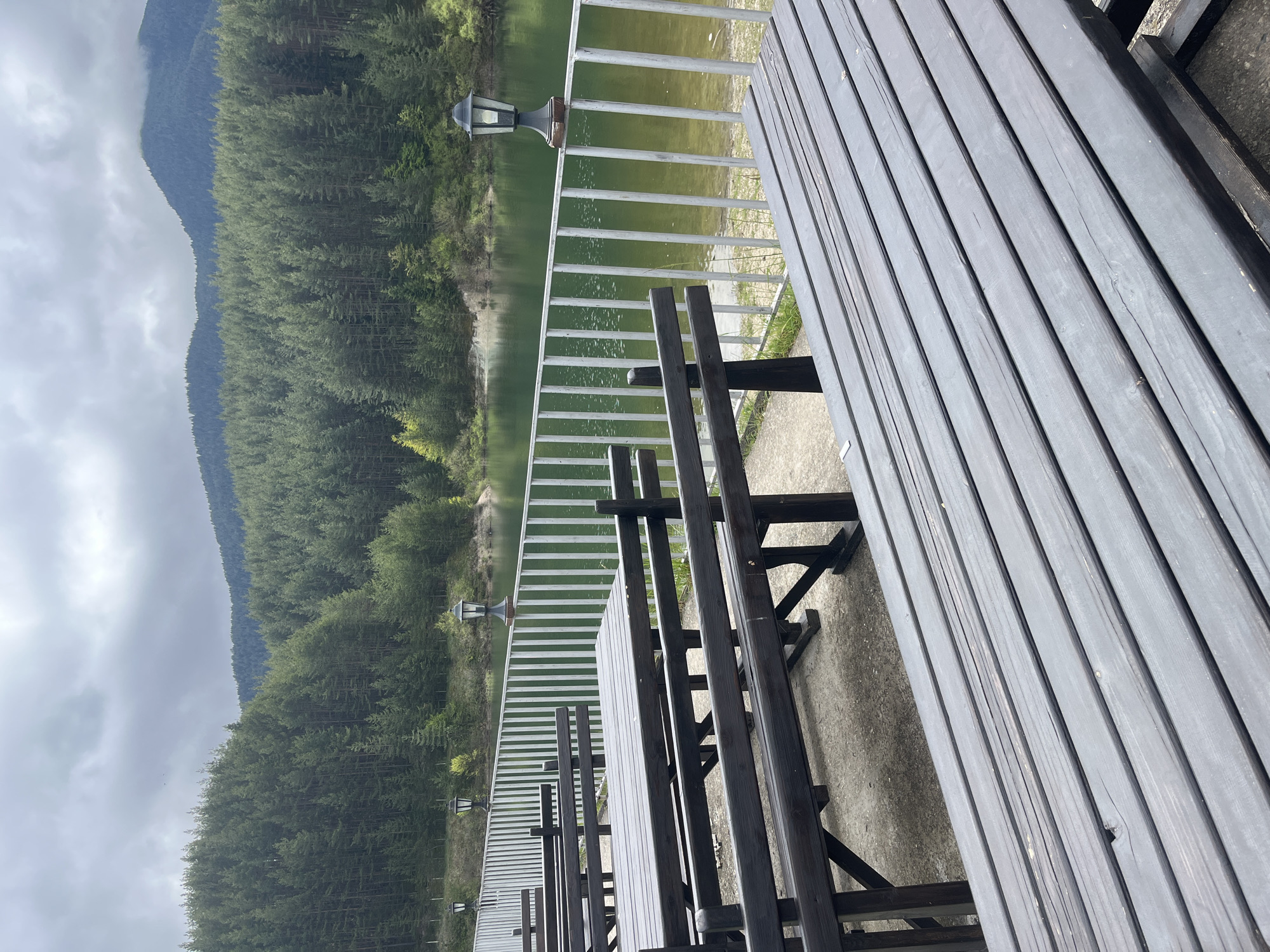 The image shows a picnic area overlooking a lake, with a forested mountain visible in the background. The foreground features several dark-stained wooden picnic tables and benches. A white railing with evenly spaced vertical bars runs along the edge of the area, separating it from the lake. Beyond the railing is the lake, which appears greenish-gray in color, reflecting the overcast sky. The opposite shore of the lake is lined with a dense forest, and a mountain range rises in the distance. Several small, antique-style lampposts are spaced along the railing. The sky is covered with gray clouds, indicating an overcast or rainy day. The location is in an unknown city and region.