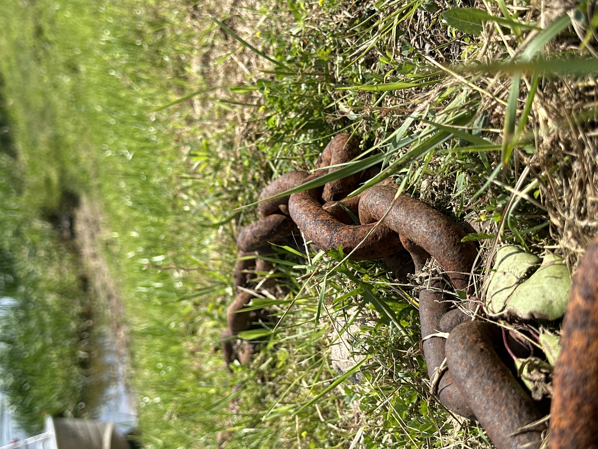 The image is a close-up, low-angle shot of a rusty metal chain lying on a grassy bank near the water. The chain is in focus, showing its thick, weathered links. The background is blurred, with hints of water, green grass, and a portion of a boat or structure on the left. The scene appears to be outdoors on a sunny day. There are no people or animals visible in the image. The location is not specified as being in the city of Babruysk, Belarus.