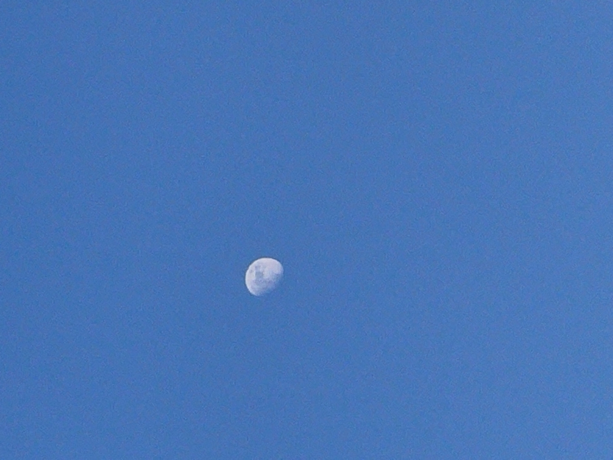 A clear, blue sky is visible, with a waxing gibbous moon positioned slightly off-center, in the lower half of the frame.