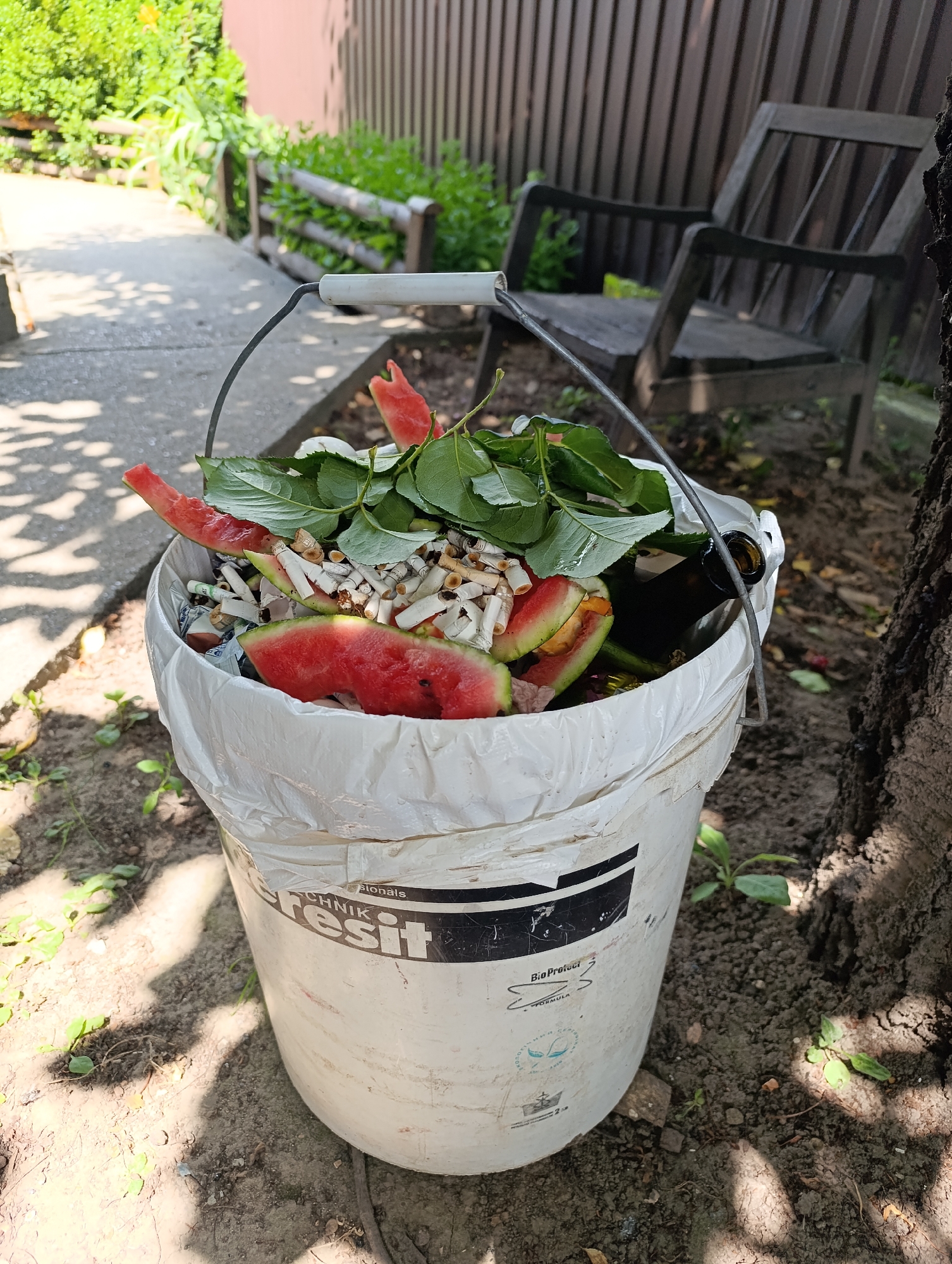 A white plastic bucket, lined with a white plastic bag, is filled with refuse. The contents include watermelon rinds, green leaves, cigarette butts, and a brown glass bottle. The bucket is placed on the ground next to the trunk of a large tree. In the background, a wooden chair sits near a wooden fence. The ground is covered in dirt and scattered leaves, with some small green plants growing. Sunlight filters through the leaves of trees, casting dappled shadows on the ground. The location is identified as Ladyzhyn, Ukraine.