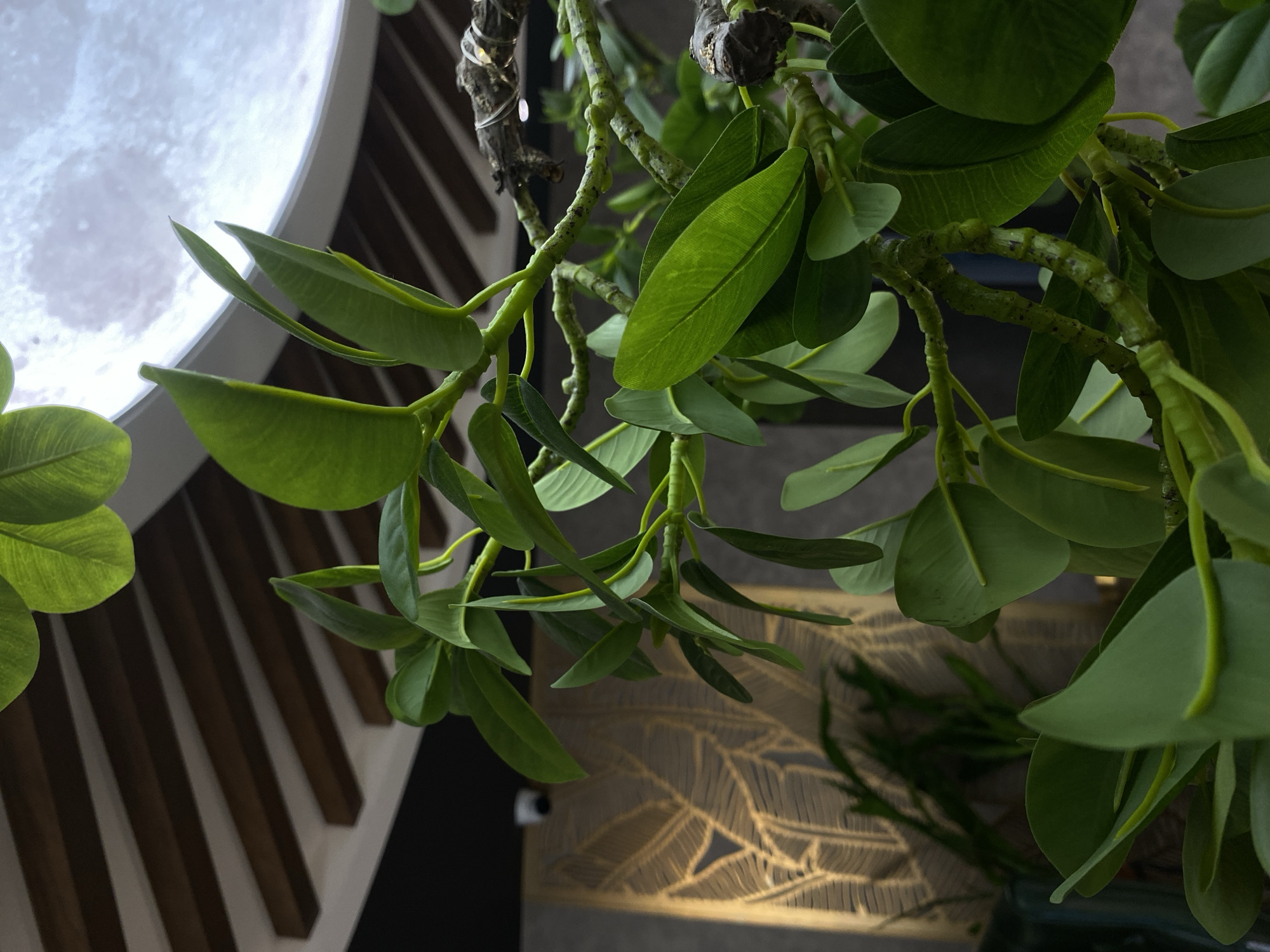 The image depicts a close-up view of an artificial plant with green leaves hanging from a branch, positioned against a blurred background. A circular light fixture resembling the moon is visible in the upper-left corner. The background includes a wall with vertical brown slats, a wall with a patterned gold-colored design, and a glimpse of other plants in a vase. A security camera is visible as well. The location or connection to Votkinsk, Russia, is not evident from the image.