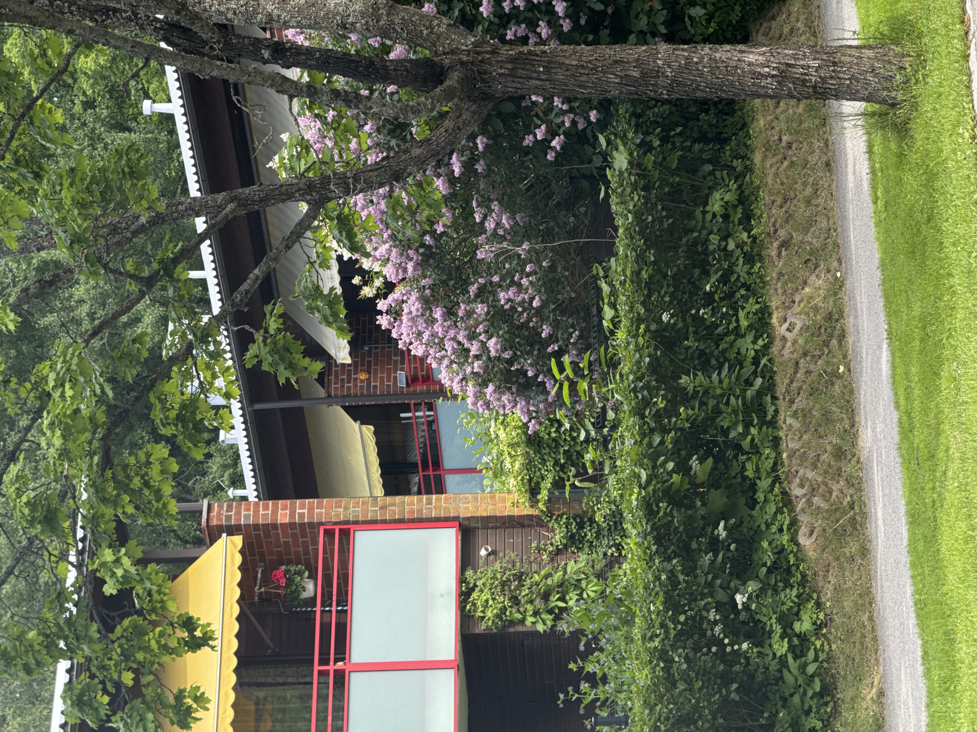 This is a photograph of a building with a yellow awning and a tree in the foreground. The building appears to be made of brick and has a red trim around some of the windows. There are also some pink flowers blooming on bushes near the building. A paved path runs alongside the building, bordered by a strip of green grass. The scene is outdoors, and the lighting suggests it is daytime. The overall impression is one of a residential or possibly commercial building in a natural setting. There is no visible text in the image.