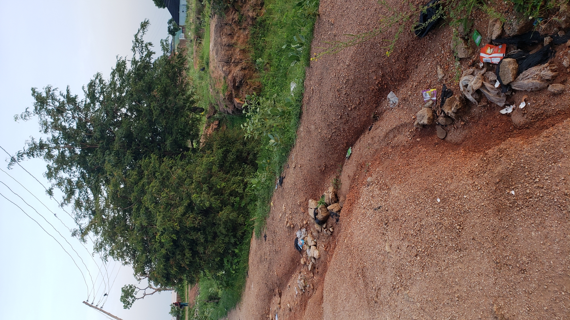The image shows a dirt road with a ditch on the right side, located in Jauro Yinu, Nigeria. The road is covered with gravel and red dirt. There is a large green tree with dense foliage in the center of the image, and a smaller tree to the left. A person is visible in the background on the left, walking away from the camera. There is trash scattered on the road and in the ditch, including plastic bags and wrappers. Overhead power lines are visible in the upper part of the image. The sky is clear and light. The environment appears rural or semi-rural.