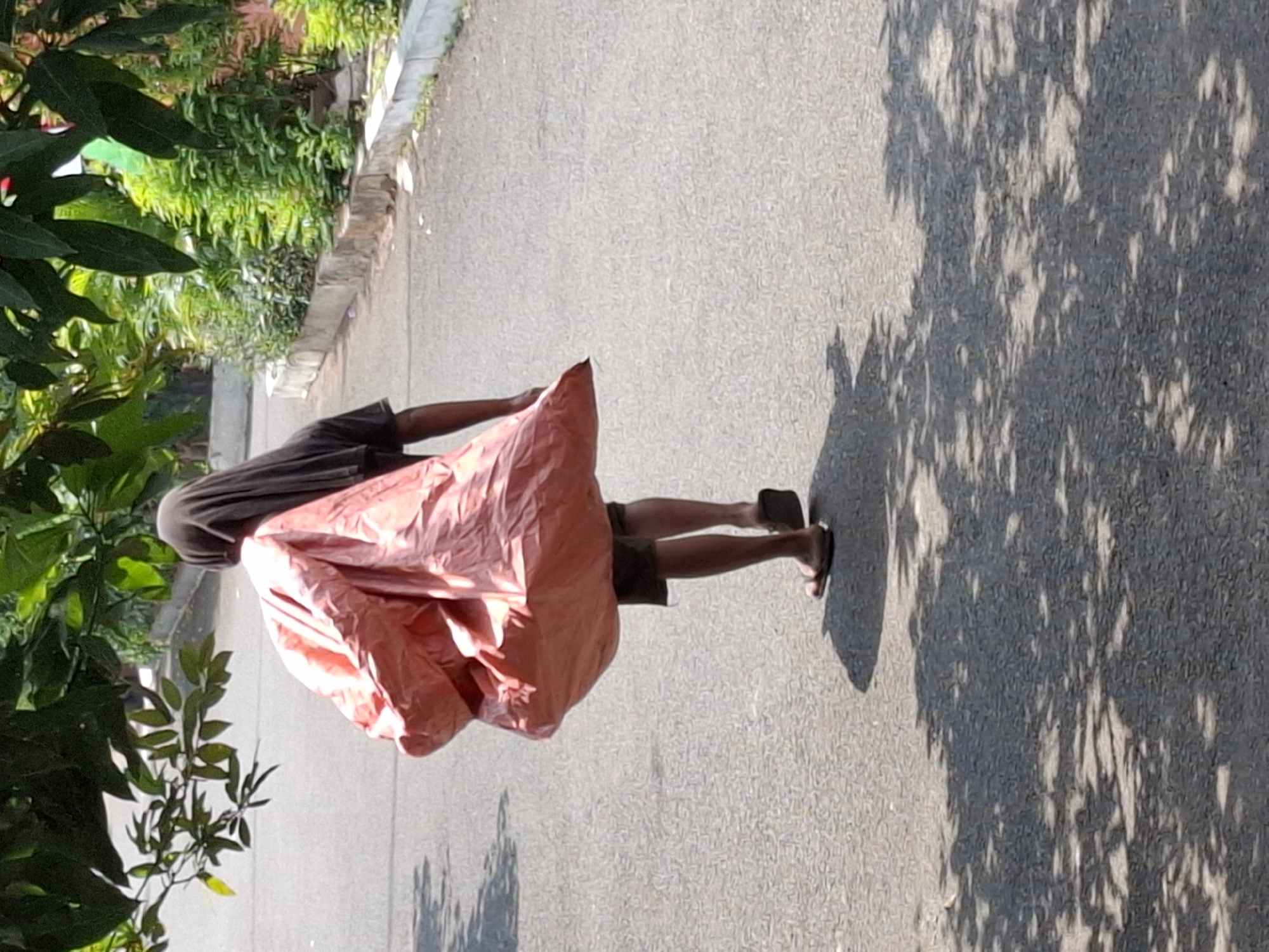 A person walks away from the camera on a paved road, carrying a large, crumpled, pink tarp over their right shoulder. The person is wearing a dark headscarf and a dark t-shirt, with dark shorts and sandals. Lush green foliage and trees line the right side of the road, casting dappled shadows across the pavement. The scene appears to be in an outdoor, possibly residential area in West Jakarta, Indonesia, given the abundant greenery and typical road infrastructure.