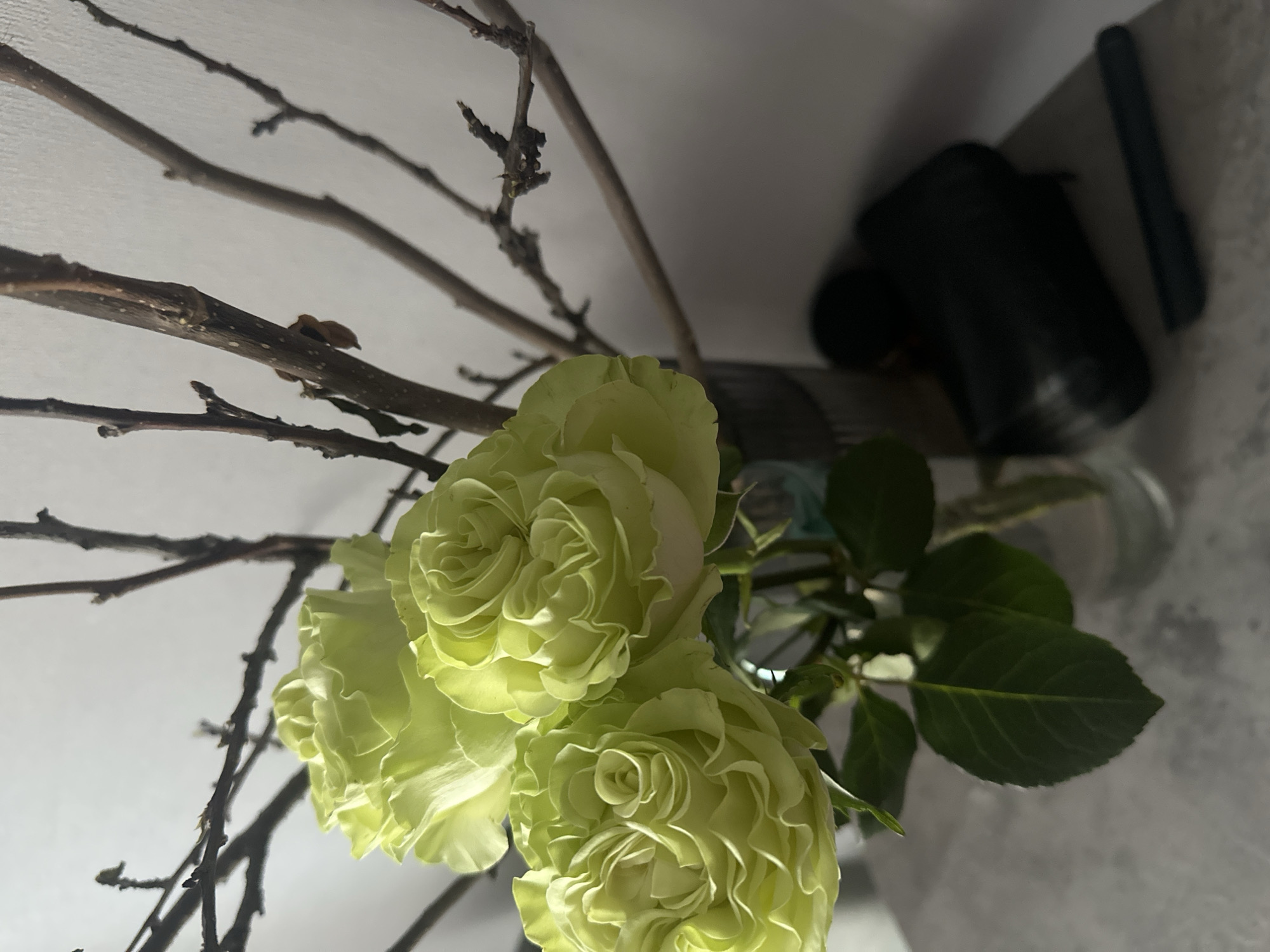 The image shows a close-up of three light green roses in a clear vase, with bare branches placed behind them. The background appears to be a white wall and shelf with dark objects partially visible on the shelf. The location is not discernible from the image and cannot be determined as Kazan, Russia.