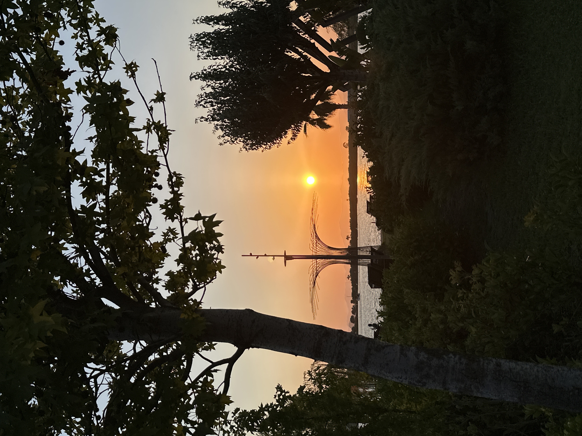 This image depicts a sunset scene at a waterfront location in Fethiye, Turkey. The sun is setting over the water, casting a warm, orange glow across the sky and reflecting on the surface of the sea. In the foreground, the silhouettes of trees frame the view. A prominent feature in the middle ground is a distinctive, modern sculpture that resembles a stylized mast or sail. The sculpture is made of metal and has a curved, skeletal design. Beyond the sculpture, the water stretches towards a hazy horizon with faint outlines of hills or mountains. Some boats are visible on the water, and a few people can be seen on the shore or near the water's edge, their figures mostly obscured by shadows. The overall atmosphere is peaceful and serene, with the warm colors of the sunset evoking a sense of calm. The presence of the sculpture and the waterfront setting suggest a public park or promenade. The time of day is clearly sunset, and the weather appears to be clear, with no visible clouds. There is no visible text in the image.