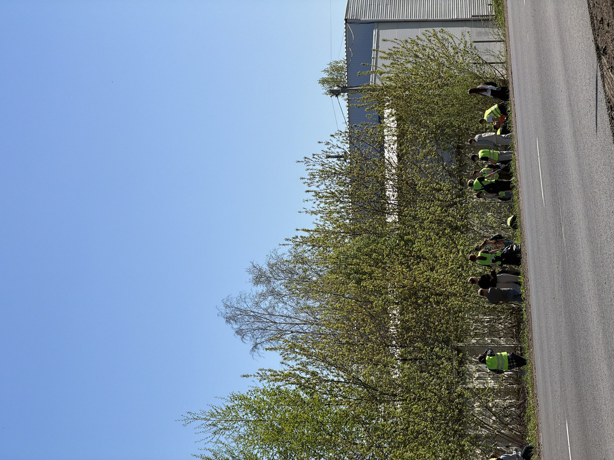 The image shows a roadside scene in what appears to be Chaikovsky, Russia. A group of approximately 10 people are working along the edge of a paved road adjacent to a tree line or thick shrubs. Several individuals are wearing high-visibility yellow vests, suggesting some type of official or organized activity. The surroundings include a clear blue sky and a building or structure in the background, partially obscured by trees. The overall impression is one of community service or maintenance work being carried out along the roadside.