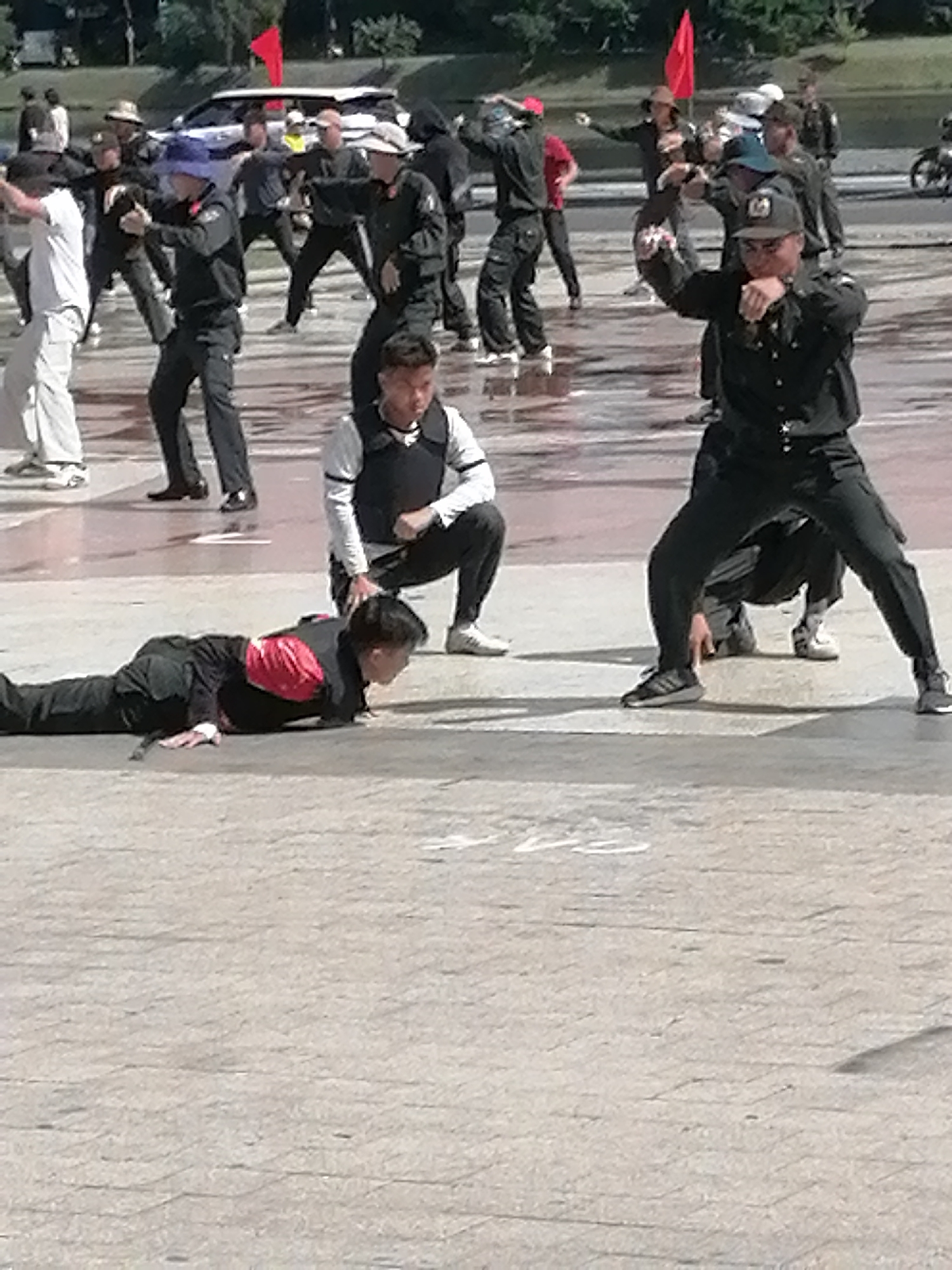 A group of people are engaged in a martial arts or self-defense demonstration on a paved, wet surface that appears to be an outdoor plaza. The people are dressed in dark training attire, some with vests, and others in casual clothing. In the foreground, one individual is in a prone position on the ground, while others are in various stances, including crouching and standing, demonstrating movements. A red flag is visible in the background, as well as a white van and trees. The scene suggests a public performance or training session. The image has a slightly grainy quality.