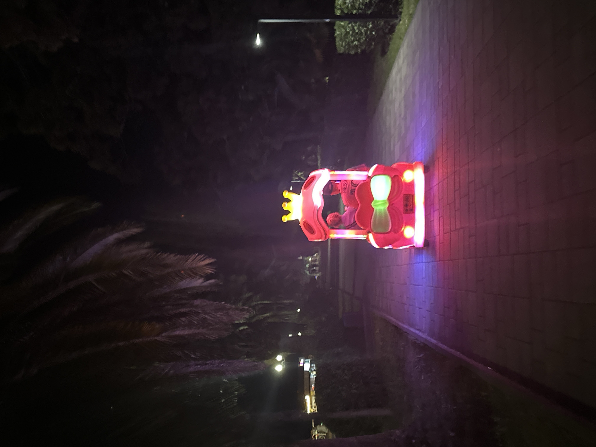 In Abaata, Abkhazia, at night, a brightly lit, pink amusement park train shaped like a carriage with a crown on top travels along a paved walkway lined with palm trees and bushes. Two people, one adult and one child, are visible inside the train. The train is illuminated with pink and purple lights. In the background, streetlights and distant buildings can be seen. The scene is dark, with the only significant illumination coming from the train and the streetlights.