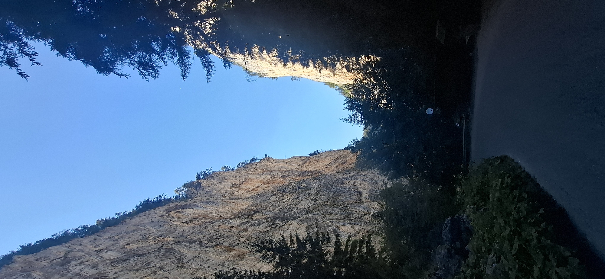 This is a vertical, eye-level shot of a narrow gorge in Trigrad, Bulgaria. The gorge walls are steep, rocky, and tall, with a clear blue sky visible above. Dense green trees line the bottom of the gorge and also grow precariously on the cliff faces. A dark asphalt road curves through the foreground, leading into the gorge. The lighting suggests it is daytime, possibly late afternoon, as the sun casts shadows and highlights the textures of the rock faces. There are no people or animals visible in the image.