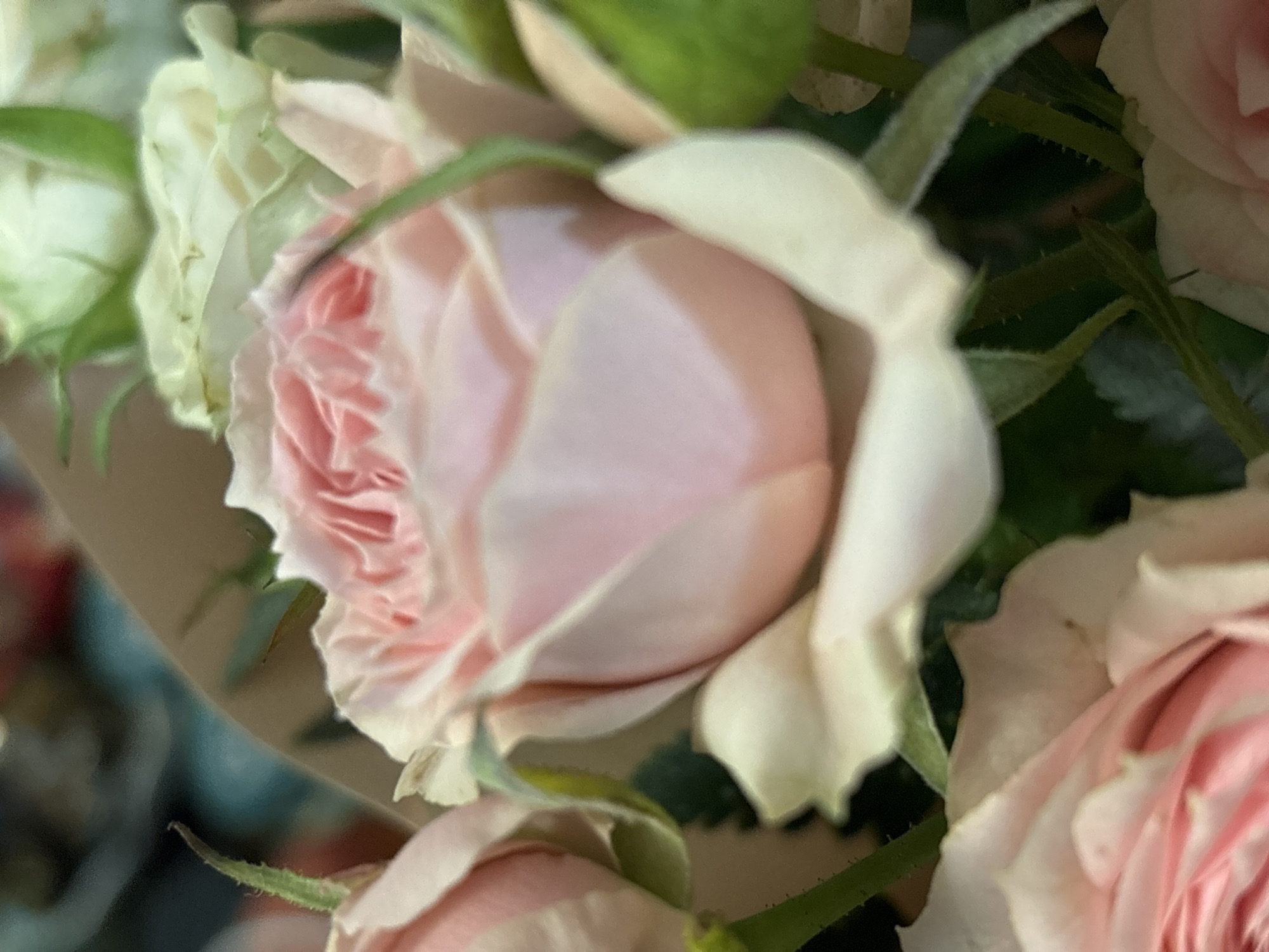 The image displays a close-up, soft-focus view of a bouquet of light pink roses. The roses have tightly furled petals in the center, gradually opening outwards. Some green buds are visible amongst the blooms. The background is blurred, suggesting an indoor setting with muted colors, possibly a florist's shop or a home environment. There is no indication of the city of Chaikovsky, Russia.