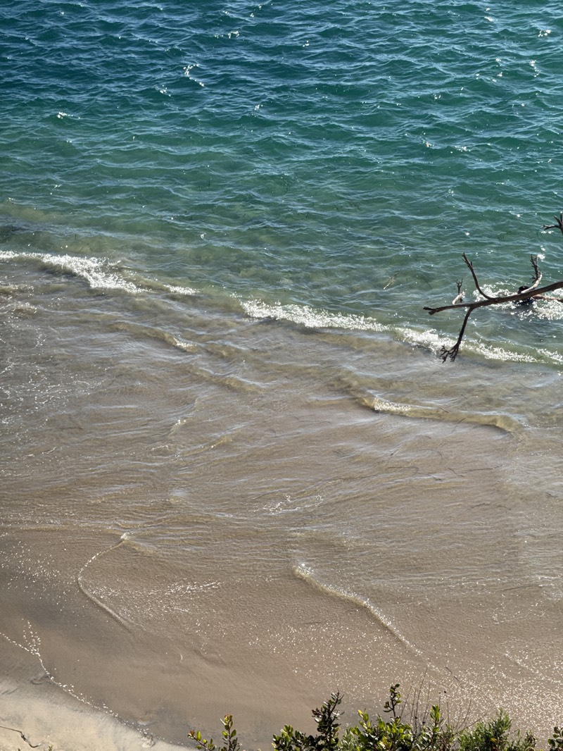 The image captures an elevated view of a beach meeting the ocean. The sand transitions from dry to wet as it approaches the water, with gentle waves lapping at the shoreline. The water deepens from a light, sandy color near the shore to a darker, teal hue in the deeper parts of the ocean. A few branches extend into the scene from the right side. In the lower right corner, shrubbery provides a sense of perspective and depth. It appears to be a beach within the city of Newport Beach, United States. No people are visible in the scene. The primary action is the interaction of the waves with the shoreline.