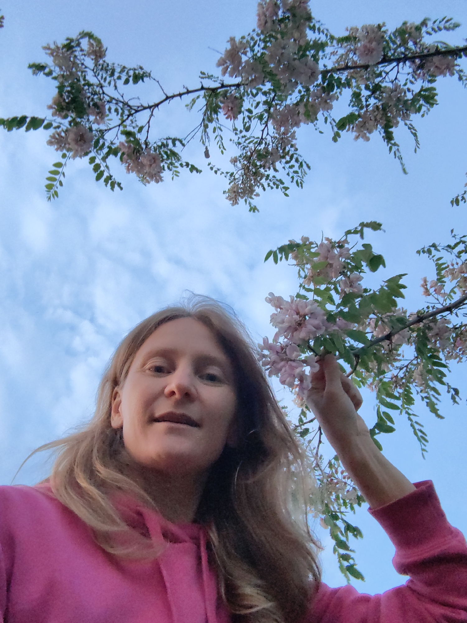 A young woman with blonde hair is captured from a low angle, looking upwards at the sky and a flowering tree. She is wearing a bright pink hooded sweatshirt. Her hand is reaching up to touch a cluster of pale pink flowers on a branch that extends over her. The sky is a soft blue with scattered white clouds. The scene is set outdoors, possibly in a park or a natural area within the Зуйское сельское поселение, Ukraine. The overall mood is serene and suggestive of a pleasant spring day.