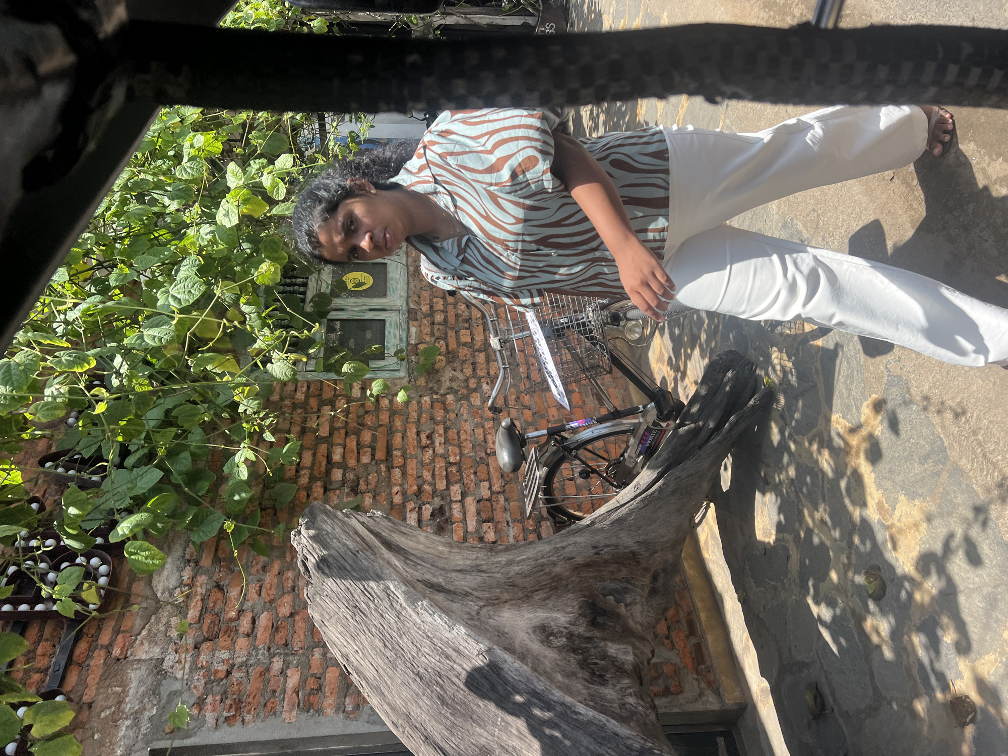 A young woman with dark, curly hair walks past a brick wall and a large piece of driftwood in a sunny outdoor setting. She is wearing a striped shirt with puffed sleeves and white pants. Behind her, a bicycle is parked near the wall, which is partially covered by green vines. The ground is paved with stone tiles, and shadows from the foliage are cast across the scene. Several frogs are visible on the ground in the lower part of the image. This scene is located in Rajgama, Sri Lanka.