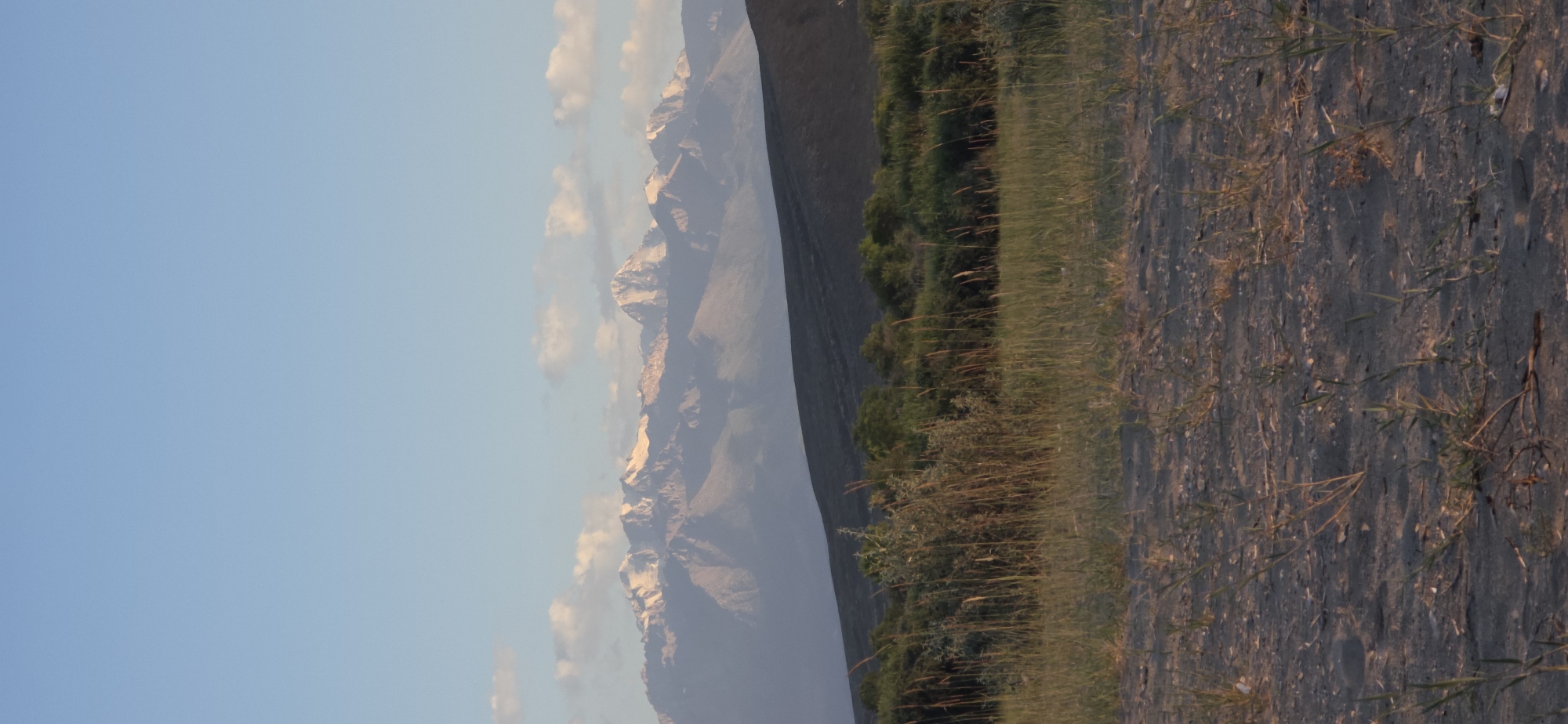 This is a vertical, eye-level, medium shot of a mountain range in Boz Beshik, Kyrgyzstan. The sky is a pale blue with scattered, wispy white clouds. The mountain range is in the background, with snow-capped peaks and rugged, rocky slopes. Below the mountains is a dark, undulating hill. In the mid-ground, there is a dense line of green vegetation, including trees and bushes, with tall, dry grasses in the foreground. The ground in the immediate foreground is sandy and sparse with a few tufts of grass. The lighting suggests it is late afternoon or early evening, with the sun casting a warm glow on the mountain peaks. There are no people or animals visible in the frame.