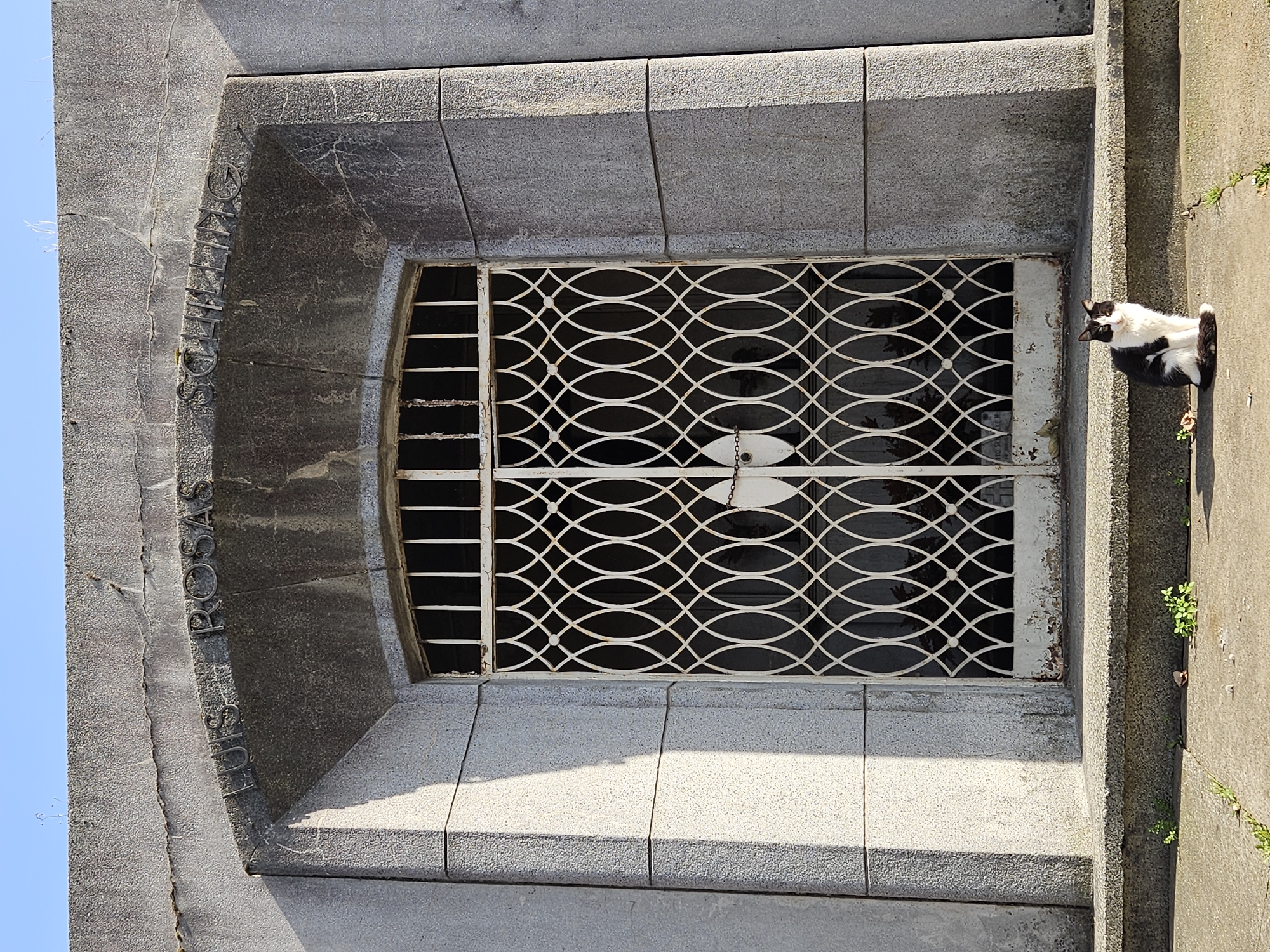 A black and white cat sits on a concrete surface next to a window with a decorative white metal grate. The window is recessed into a grey stone or concrete structure, potentially a mausoleum, with the name "LUIS PROSAS" vertically inscribed on the left side. The location is likely in the city of Osorno, Chile, given the name. The window appears aged, with some peeling paint. The cat is positioned near the edge of the concrete surface, looking towards the window. Small green plants are growing in crevices nearby.