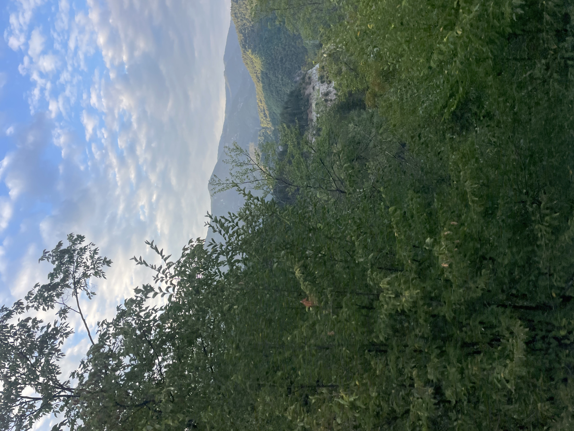 This image depicts a natural landscape scene, likely from the outskirts of Yugovo, Bulgaria, given the context. In the foreground, dense green foliage from trees dominates the left and bottom portions of the frame, with some branches extending upwards and to the right. The leaves are varied in size and texture, creating a rich, verdant canopy.
Beyond the foreground foliage, the midground reveals a valley or mountainous terrain covered in lush green trees. Sunlight casts dappled shadows across the slopes, highlighting the contours of the land. A lighter colored area, possibly a cleared section or rock face, is visible within the valley.
In the background, a series of rolling mountains extend towards the horizon. These mountains are hazy, suggesting distance and atmospheric conditions. The sky above is a light blue, with scattered white clouds that appear soft and wispy. The lighting suggests it may be early morning or late afternoon, with the sun creating a gentle illumination across the scene. No people or specific structures are discernible. The overall impression is one of a peaceful, natural environment.