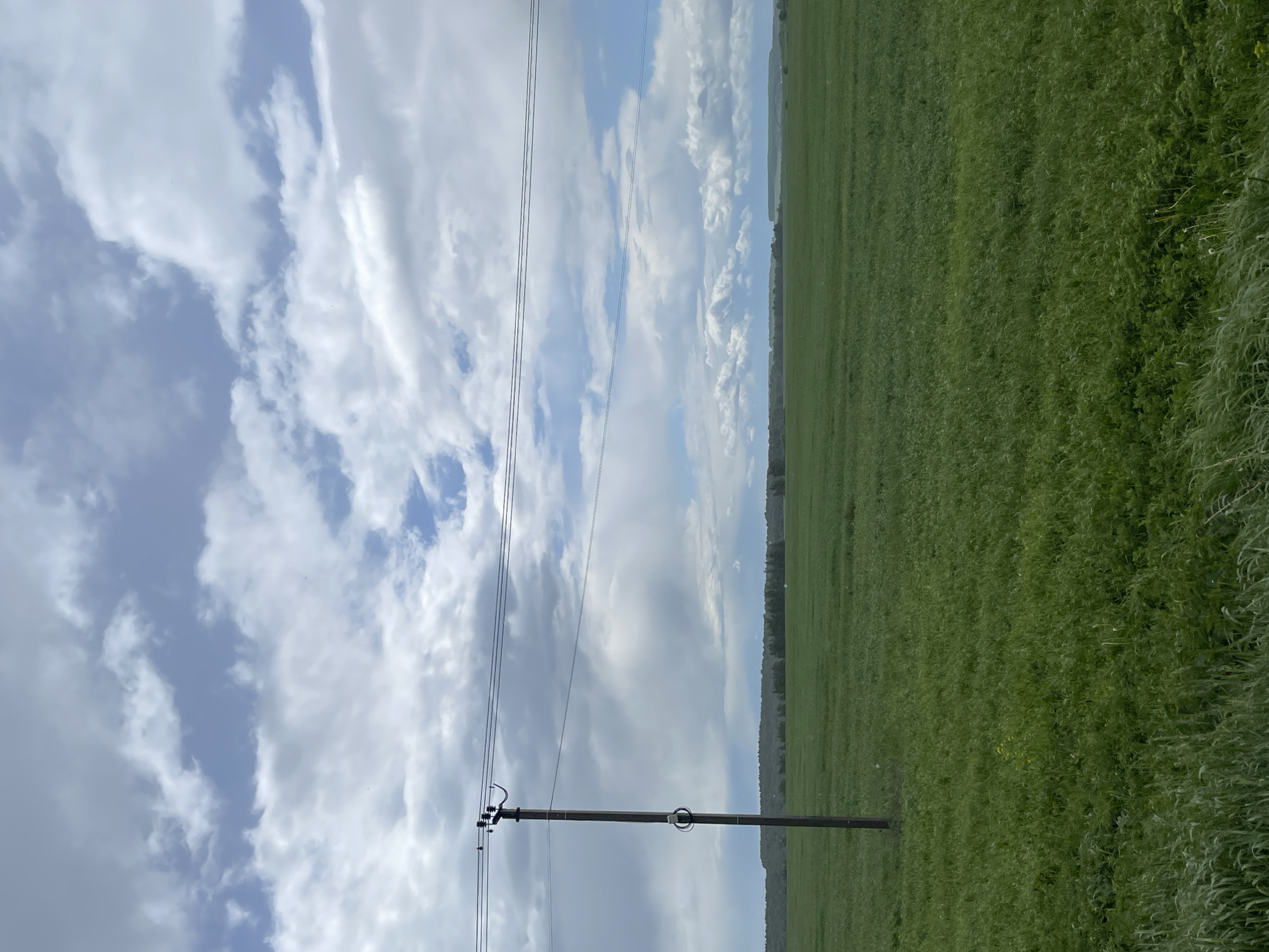 The image shows a rural scene, likely in or near Петрово, Russia, although specific landmarks are absent. A utility pole stands in the foreground with power lines stretching across a sky filled with scattered clouds. To the right, a green field extends into the distance, potentially a meadow or agricultural land. The photograph has a slightly tilted perspective. There are no visible people, specific subjects, or actions taking place. The primary interaction is the juxtaposition of the man-made utility structure within a natural landscape.