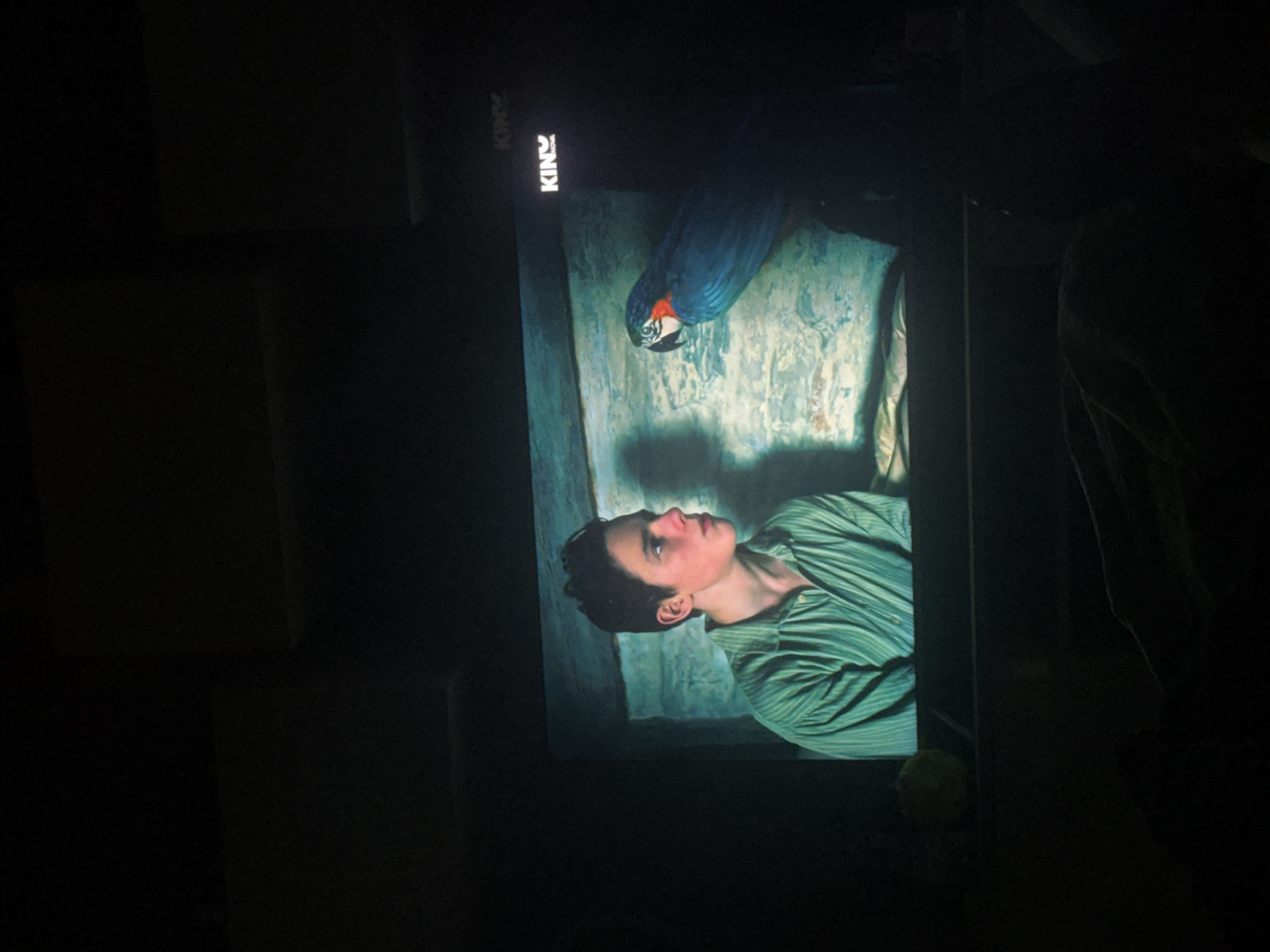 A person is watching television in a dark room. The television screen shows a young man in a green shirt looking up at a blue macaw parrot. The "KINY" brand is visible on the television. The location of Asenovgrad, Bulgaria is not evident in the image.