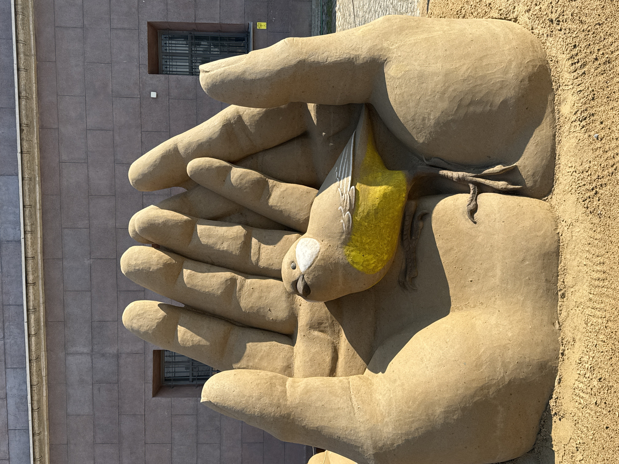 A sand sculpture of two hands cradling a bird is located in Saint Petersburg, Russia. The sculpture sits beside a building with two windows. The bird has a yellow wing. The sculpture is set upon a sandy base.