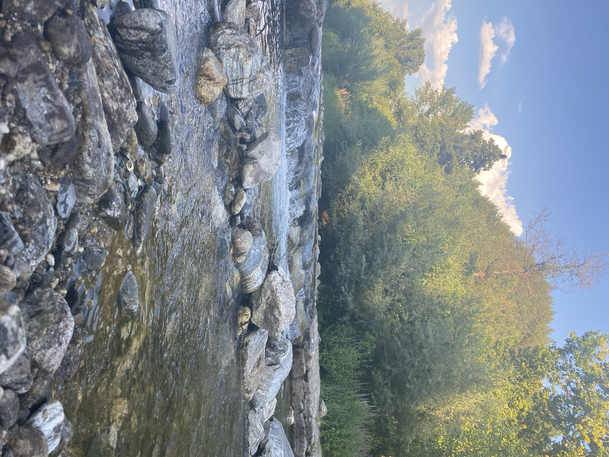 This is an eye-level, outdoor, natural scene. The foreground features a shallow stream with many rocks of varying sizes, some submerged in the water and others forming the streambed. The water is clear, showing the rocks beneath it, and has a gentle ripple effect. In the mid-ground, the stream cascades over a rocky ledge, creating a small waterfall. Beyond the waterfall, the water appears calmer. The background consists of lush green trees and vegetation that form a dense hillside. The sky above is blue with scattered white, fluffy clouds. The lighting suggests it is late afternoon or early evening, with the sun casting a warm glow on the scene. There are no people or man-made structures visible in the image. The scene is devoid of any activity, presenting a tranquil natural landscape.