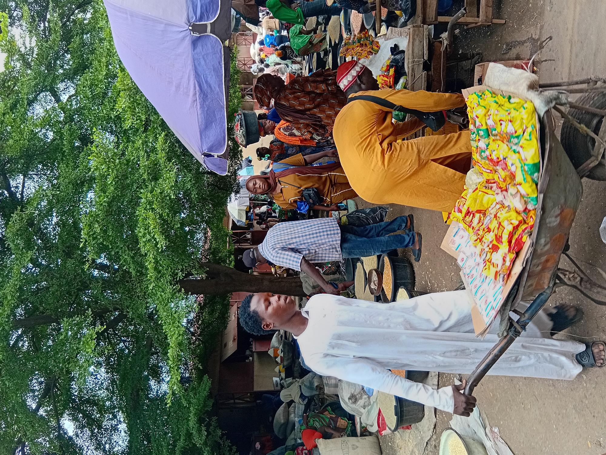 The image depicts a busy outdoor market scene in Lokoja, Nigeria. In the foreground, a young man wearing a long white garment pushes a wheelbarrow filled with colorful packaged goods, predominantly yellow and red. To his right, another person in a bright orange robe is bending over a table laden with similar packaged items. Various stalls are visible, displaying sacks and large containers filled with grains and other produce. In the background, numerous people are engaged in market activities, with some wearing traditional attire. A large purple umbrella provides shade over one section of the market. Lush green trees with dense foliage overhang the scene, suggesting an open-air market environment. The ground is dirt or pavement, showing signs of foot traffic and some debris.