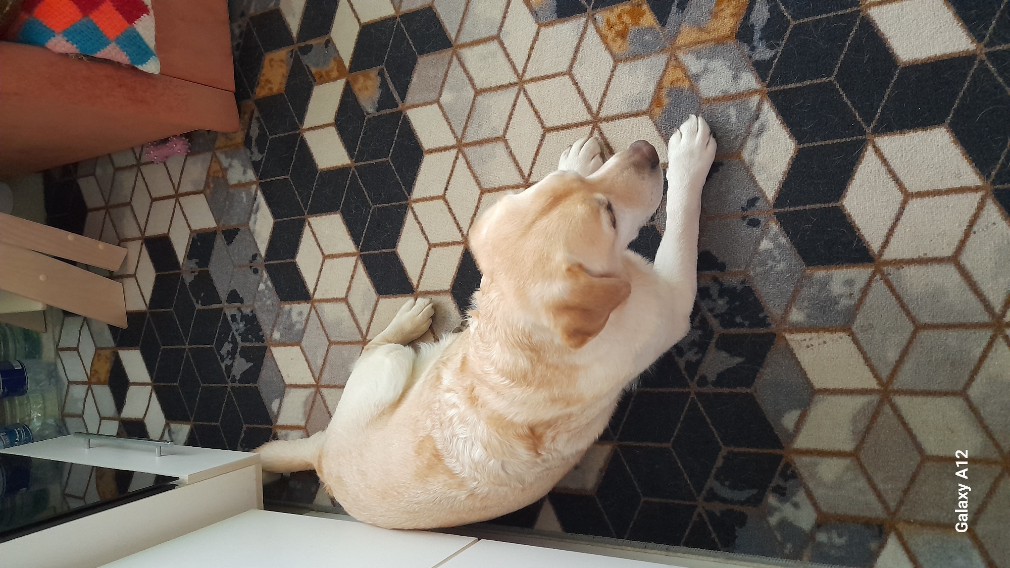A cream-colored Labrador dog is seen resting indoors on a geometrically patterned rug. The dog is lying on its stomach with its head turned slightly to the right, and its front paws extended forward.
The rug features a distinct three-dimensional cube pattern rendered in shades of black, grey, white, and a warm brown or golden hue, covering the floor.
Various household items and furniture are partially visible around the dog and the rug. In the upper left corner, a portion of a brown sofa or armchair is present, topped with a vibrant, multi-colored knitted cushion displaying diamond shapes in red, blue, green, and white. Towards the lower left, light-colored wooden furniture elements, possibly legs or shelving, are visible. Adjacent to these, a white cabinet or tabletop with a horizontal silver handle can be seen, with several plastic bottles (likely water) positioned behind it.
The scene depicts a relaxed domestic environment, characteristic of a living room or a similar common area in a home located in Марковский, Russia. The dog appears calm and comfortable. The text "Galaxy A12" is visible in the bottom right corner, indicating the camera model used for the image.