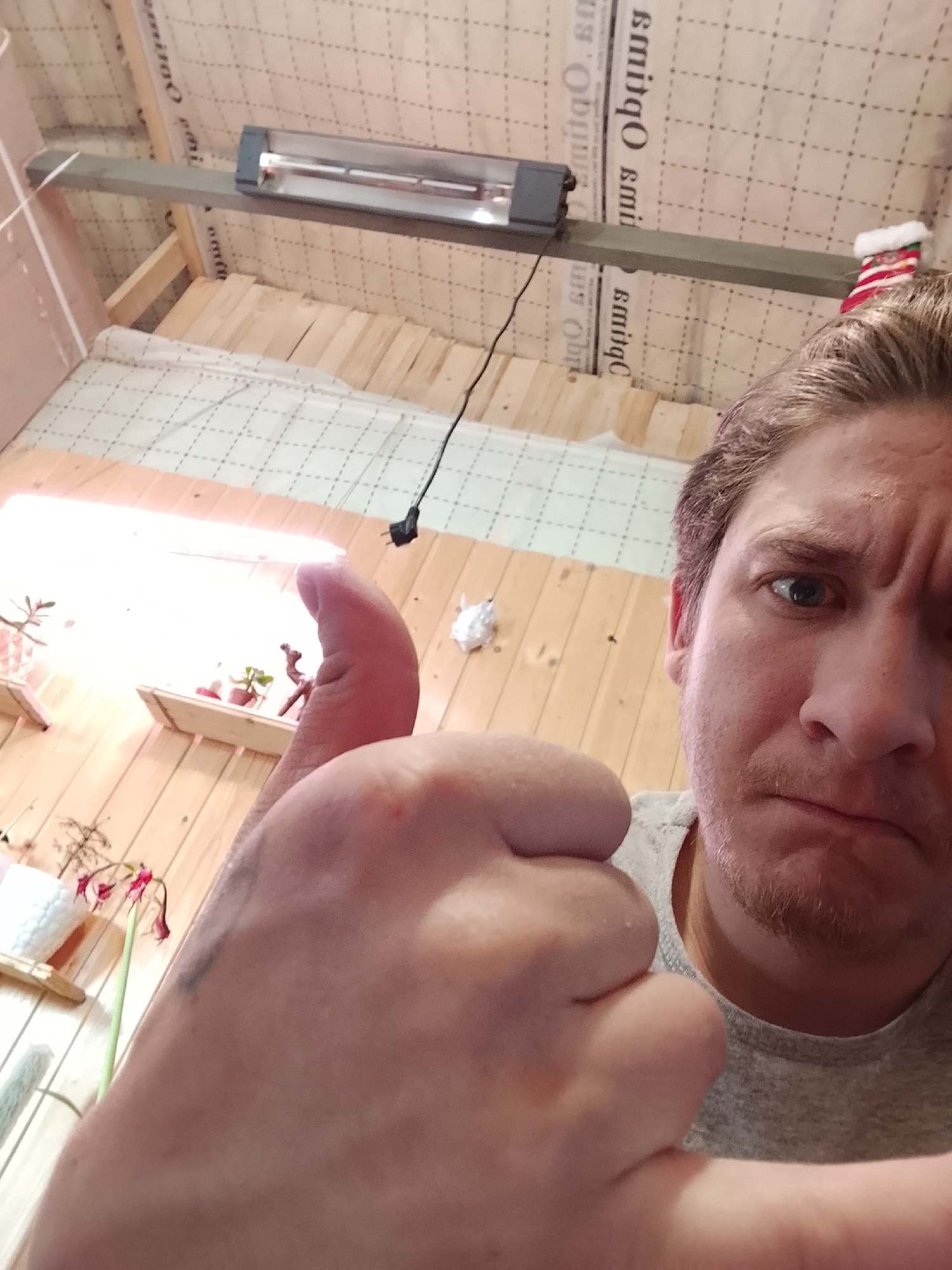 The image depicts a man in an interior space, possibly a workshop or shed, giving a thumbs-up gesture. The man has light-colored hair, blue eyes, and a stubbly beard. He is wearing a gray t-shirt. In the background, the space appears to be under construction or renovation. The walls and ceiling are covered with insulation material with a grid pattern and printed text, partially obscured. A narrow shelf with small potted plants is visible on the wall. An electric heater is mounted on the ceiling. A small Christmas stocking appears on the ceiling. The location is unknown, but the insulation material contains the word "ОБИ", which is the abbreviation for OBI, a German multinational home improvement retail chain that has locations in Russia, including Высокиничи. Therefore, it is plausible the location is Высокиничи, Russia.